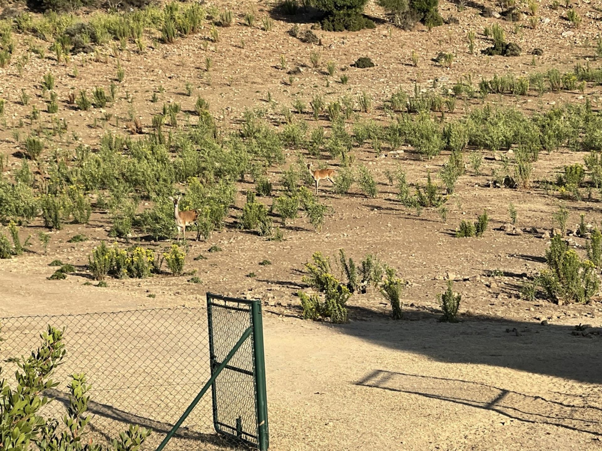 loger dans Castellar de la Frontera, Andalucía 11074999