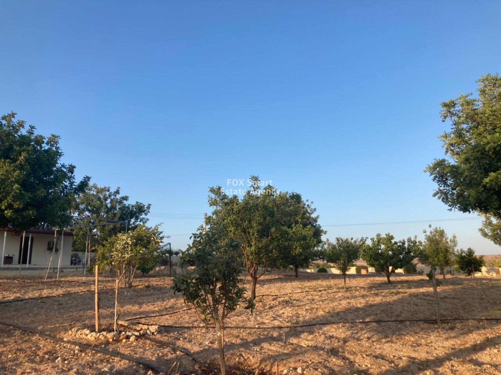 Land in Pampoula, Lemesos 11075158