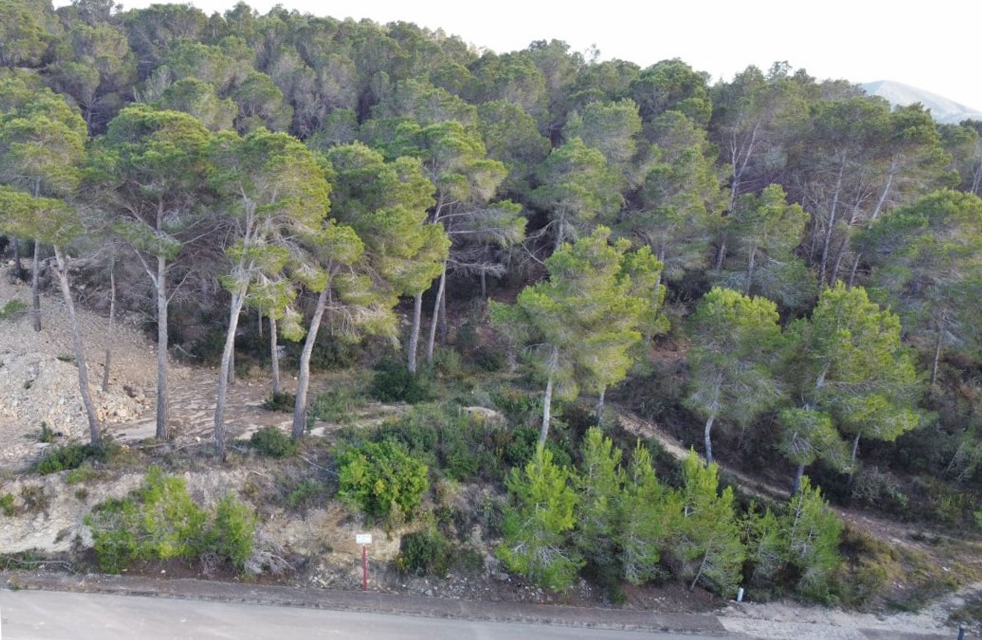 Land in Jávea, Comunidad Valenciana 11075424