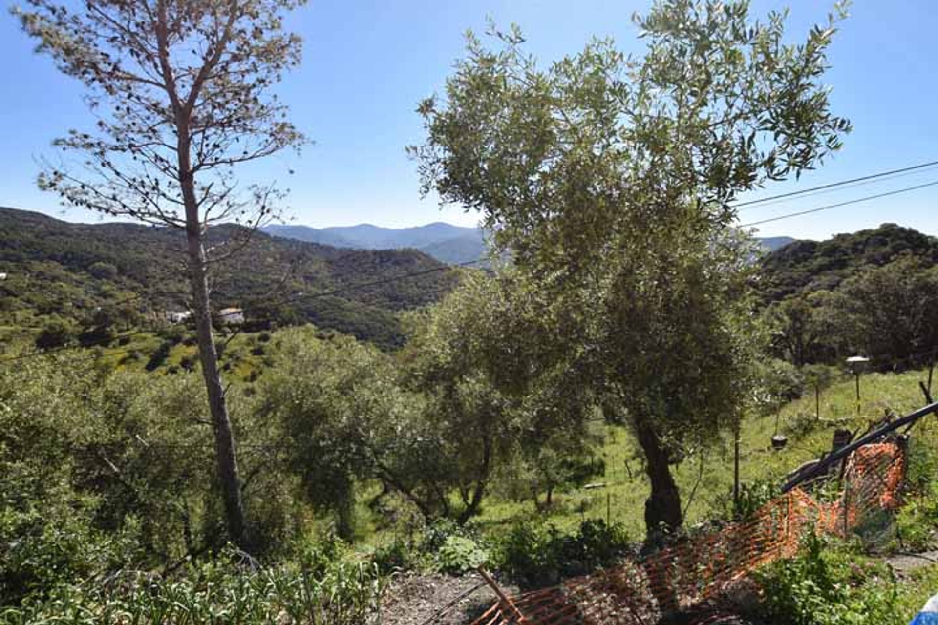 жилой дом в Gaucín, Andalucía 11075533