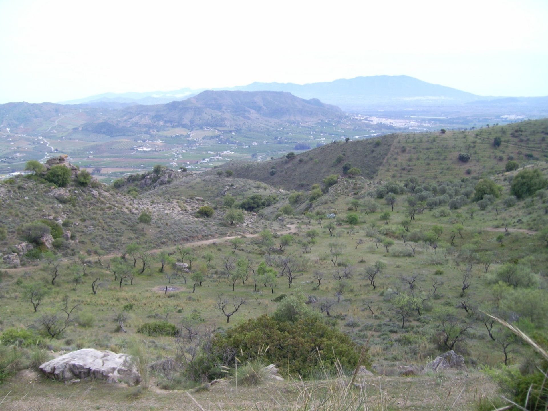 Terre dans Carratraça, Andalousie 11075723