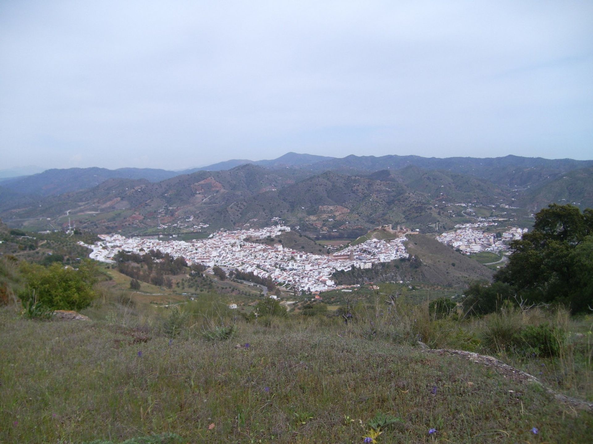 Terre dans Carratraça, Andalousie 11075723