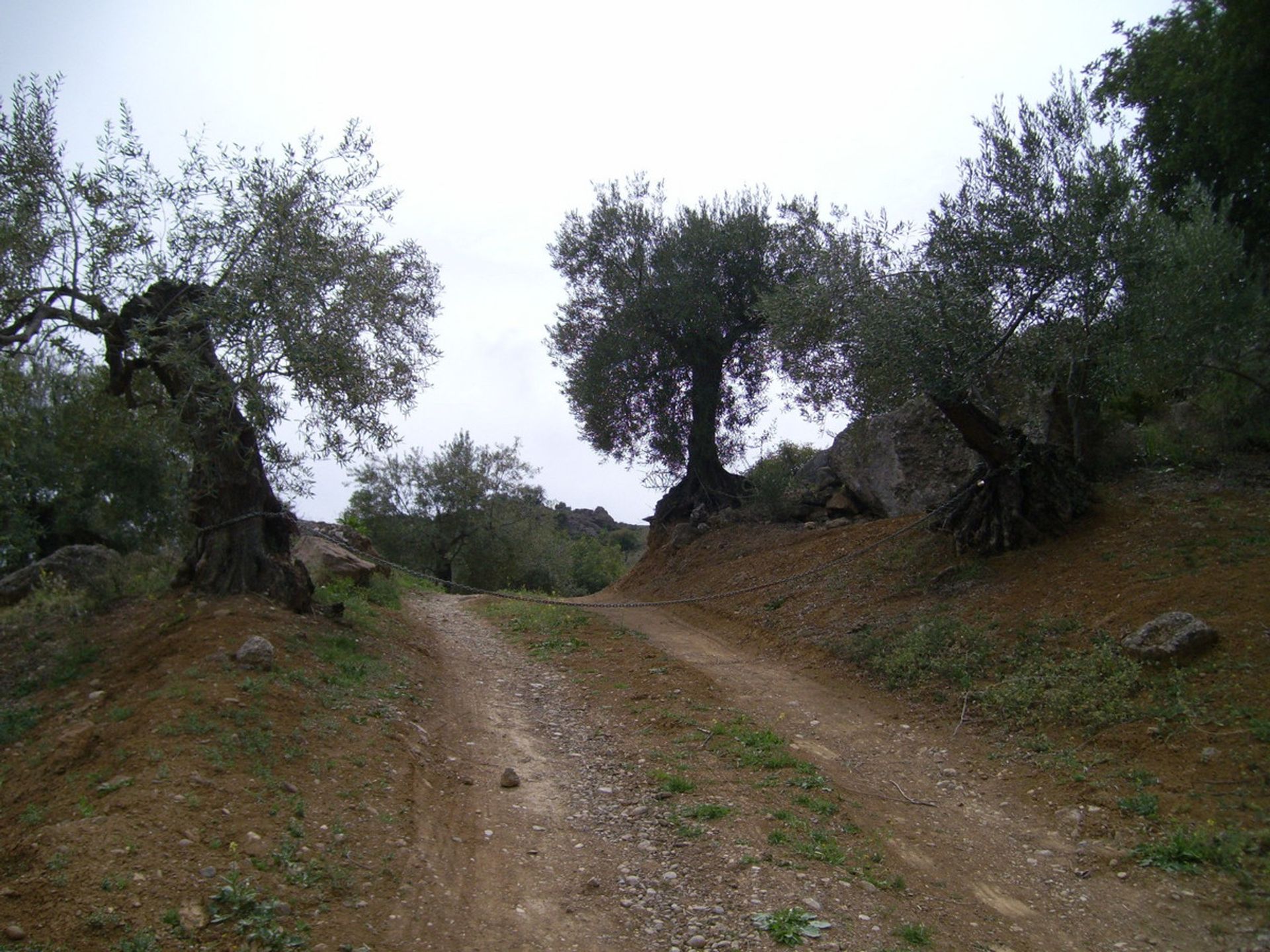 Terre dans Carratraça, Andalousie 11075723