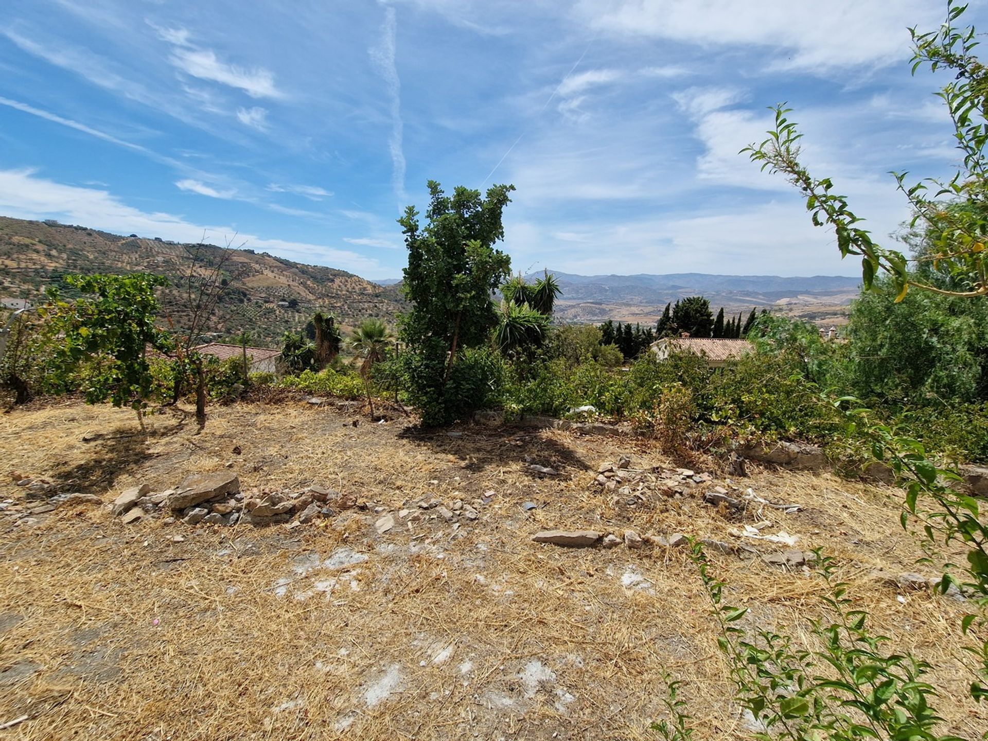 房子 在 Alcaucín, Andalucía 11075797