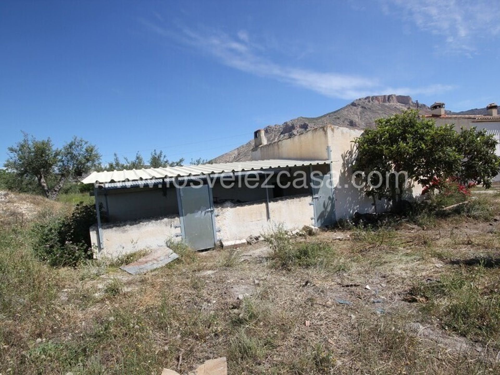 Будинок в Vélez-Blanco, Andalucía 11076018