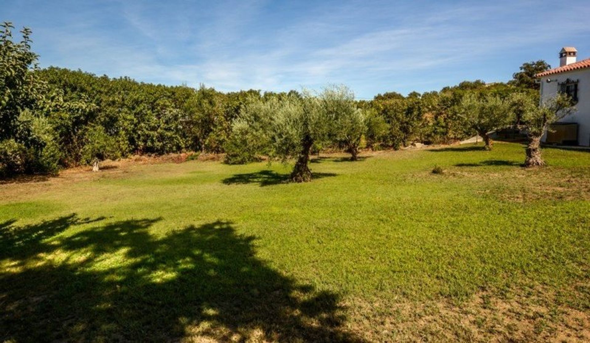 Hus i Coín, Andalucía 11076106