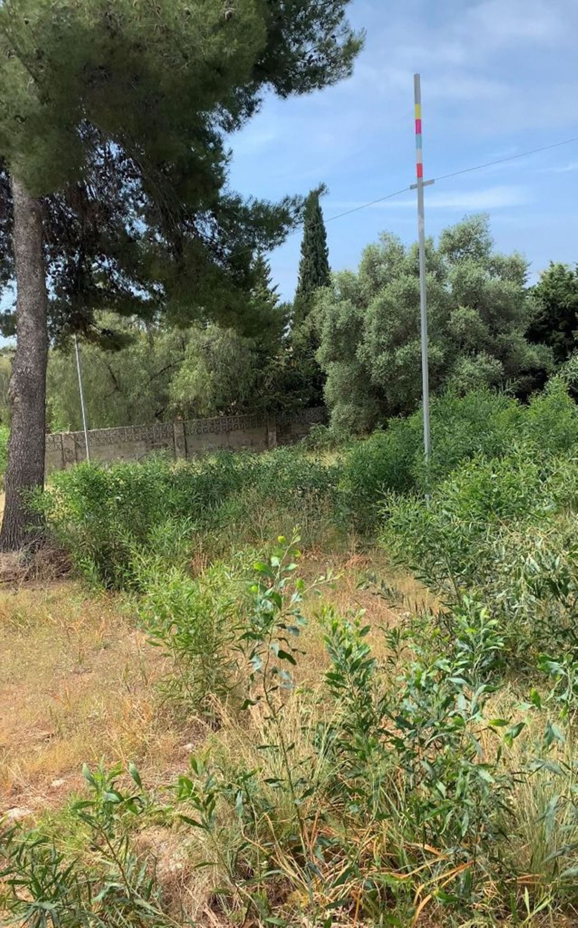 Land in El Engel, Andalusië 11076253