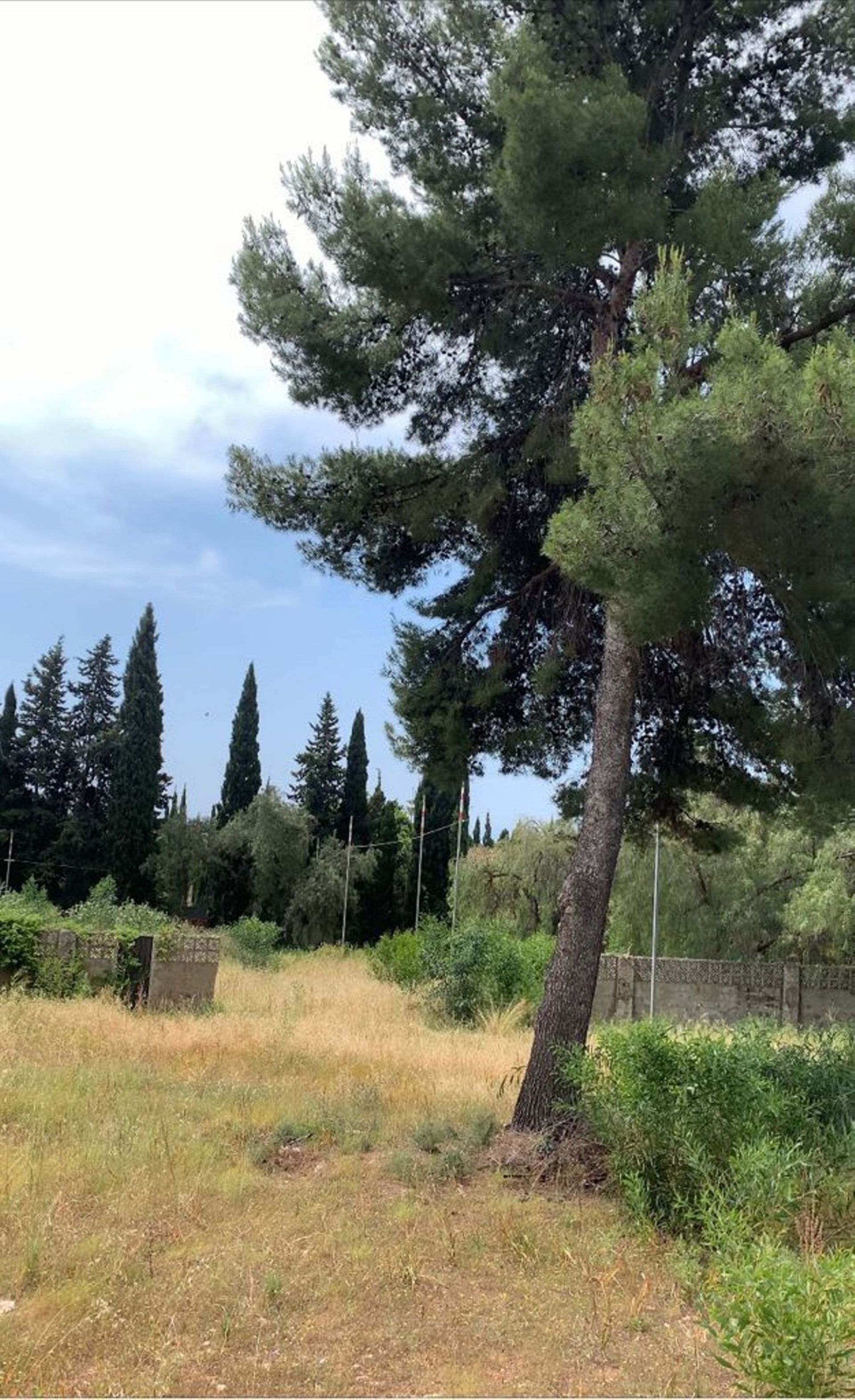 Tierra en El Ángel, Andalucía 11076253