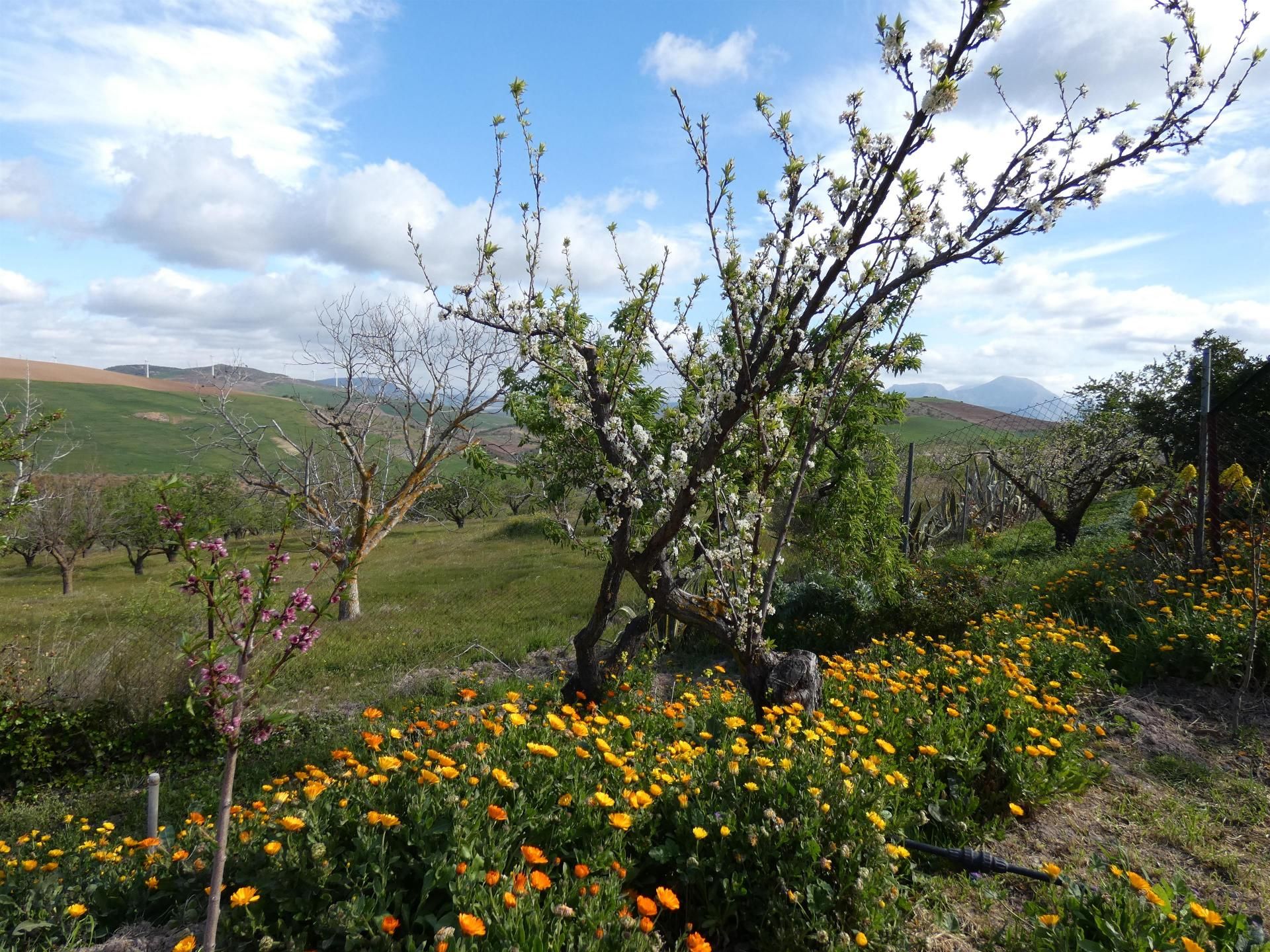 Casa nel Ardales, Andalucía 11076258