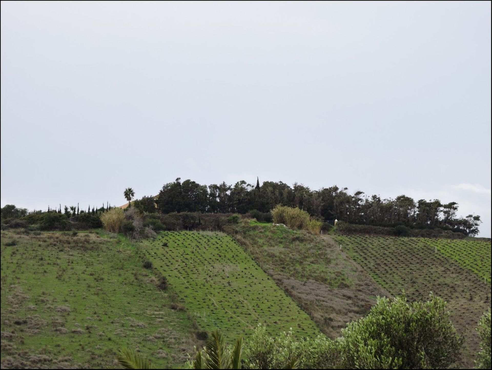 Земельные участки в Manilva, Andalucía 11076298