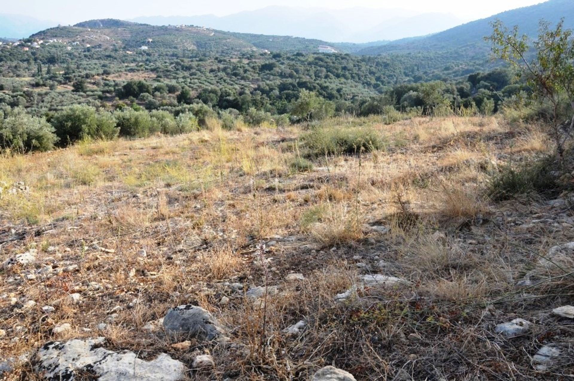 Γη σε Πλατάνι, Κρήτης 11077125