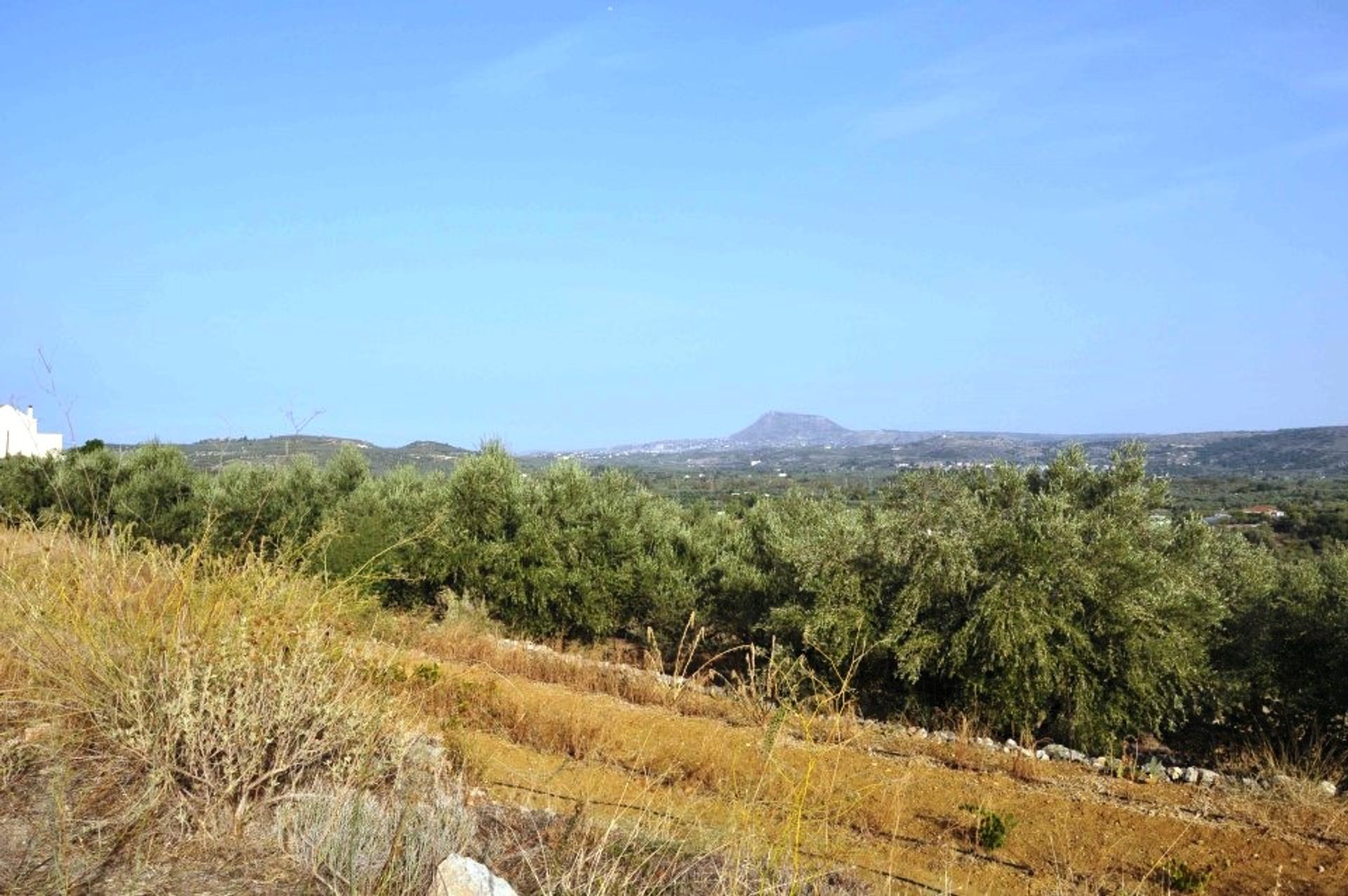 Γη σε Πλατάνι, Κρήτης 11077125