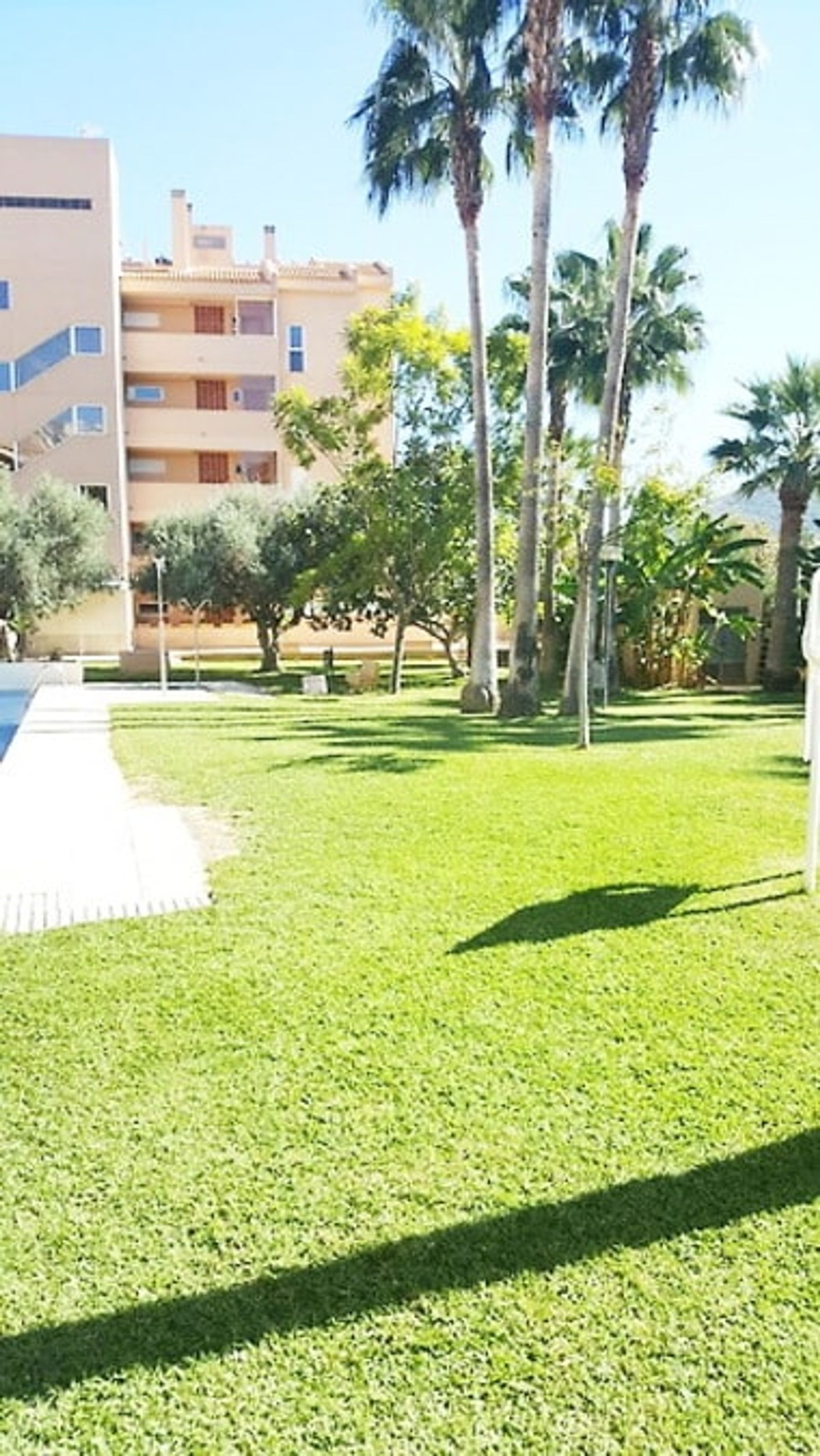 Condominium in Albacete, Castilla-La Mancha 11077421