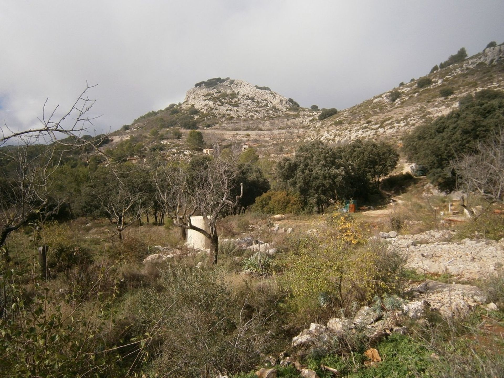 房子 在 Castell de Castells, Comunidad Valenciana 11077812