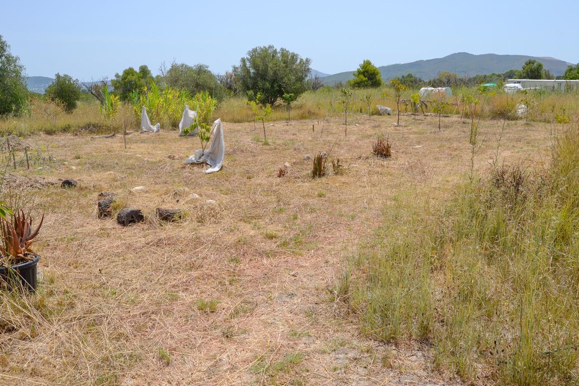 Dom w Jávea, Comunidad Valenciana 11077825