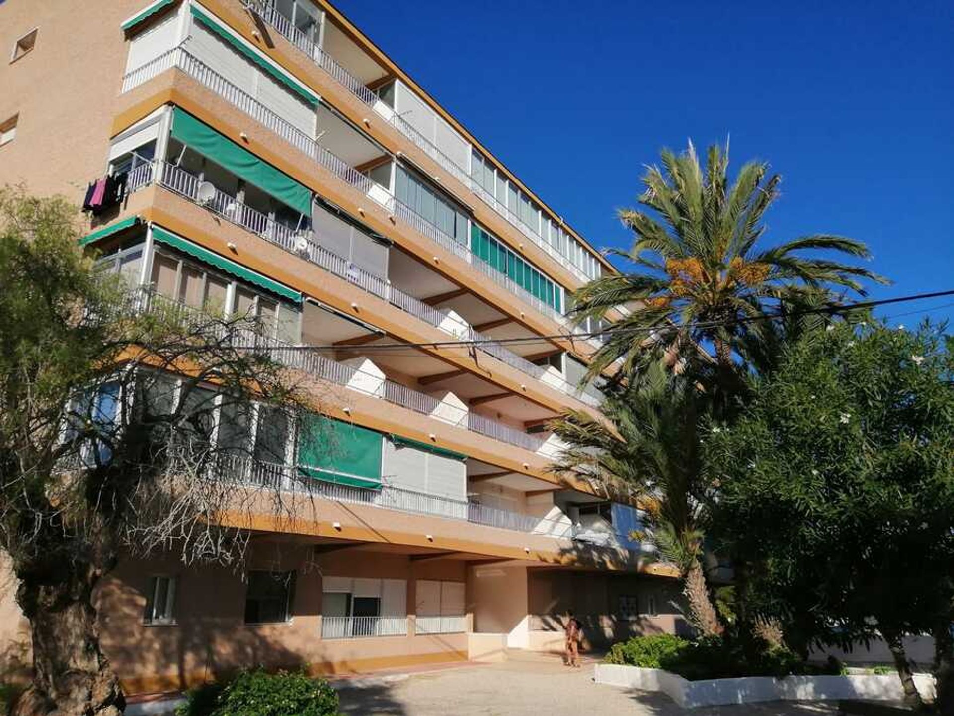 Condominium dans Torrevieja, Comunidad Valenciana 11077835