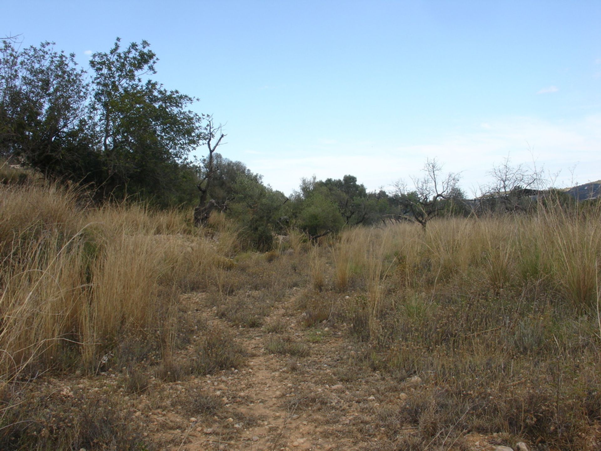 Tanah di Xaló, Comunidad Valenciana 11078011