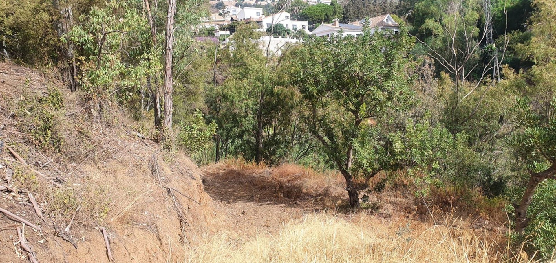 Tierra en Málaga, Andalucía 11078150