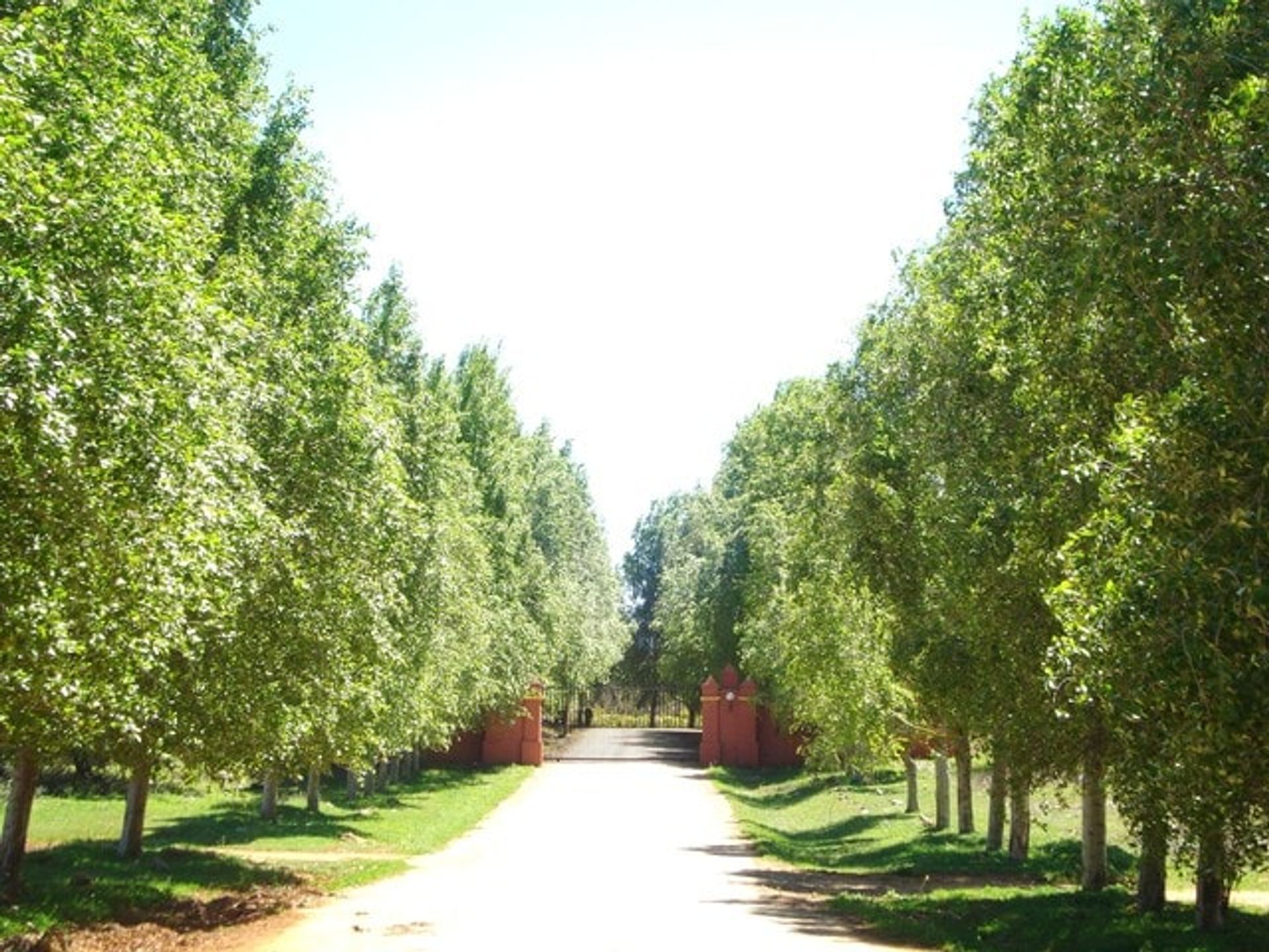 Talo sisään Ronda, Andalucía 11078356