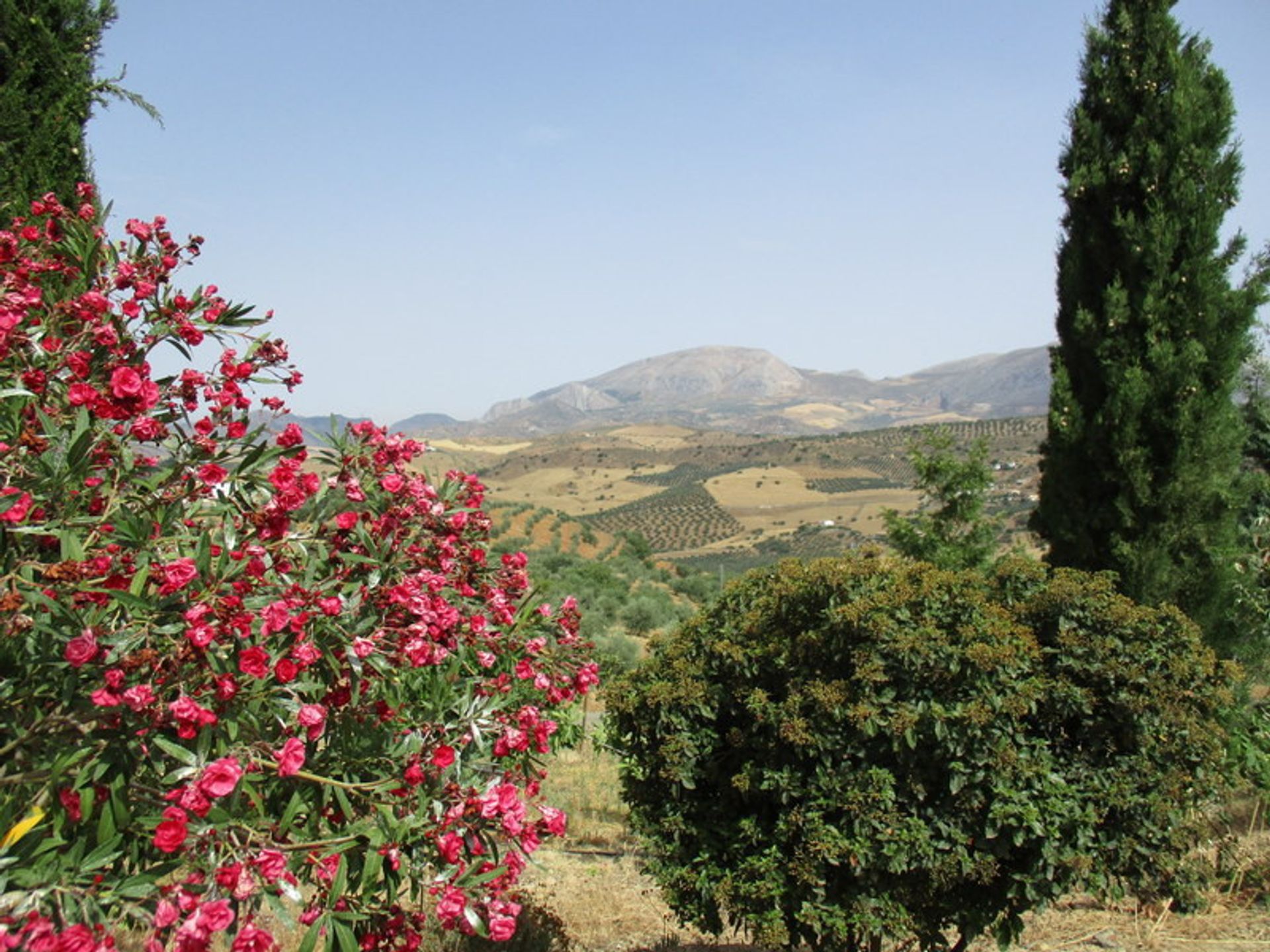 Hus i Álora, Andalucía 11078416