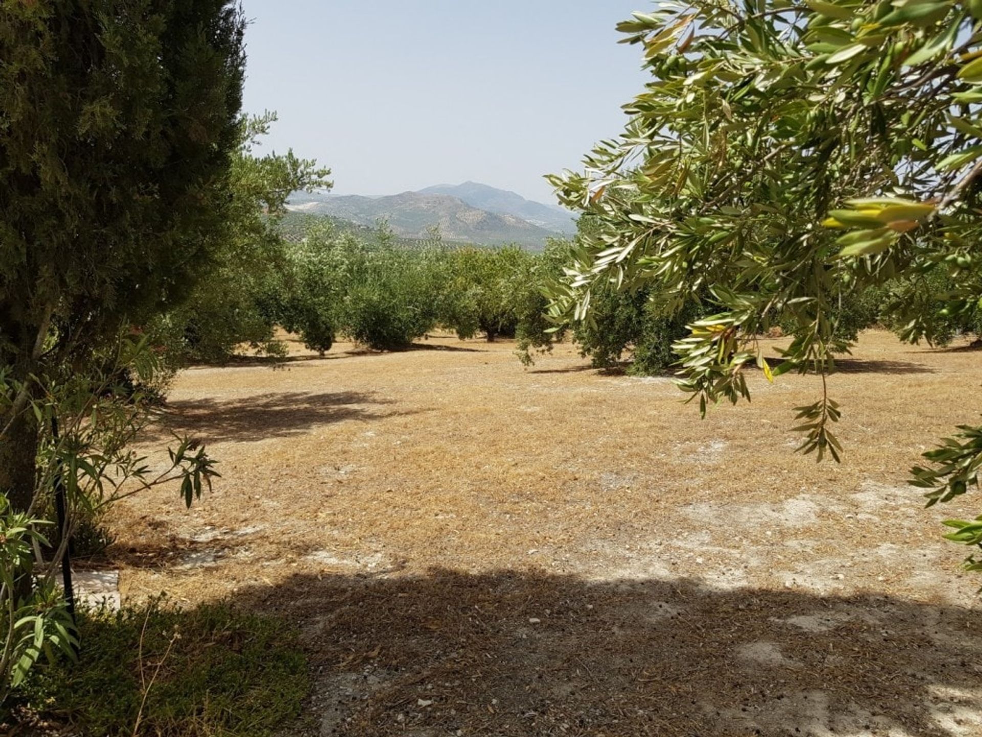 Casa nel Alcalá la Real, Andalucía 11078435