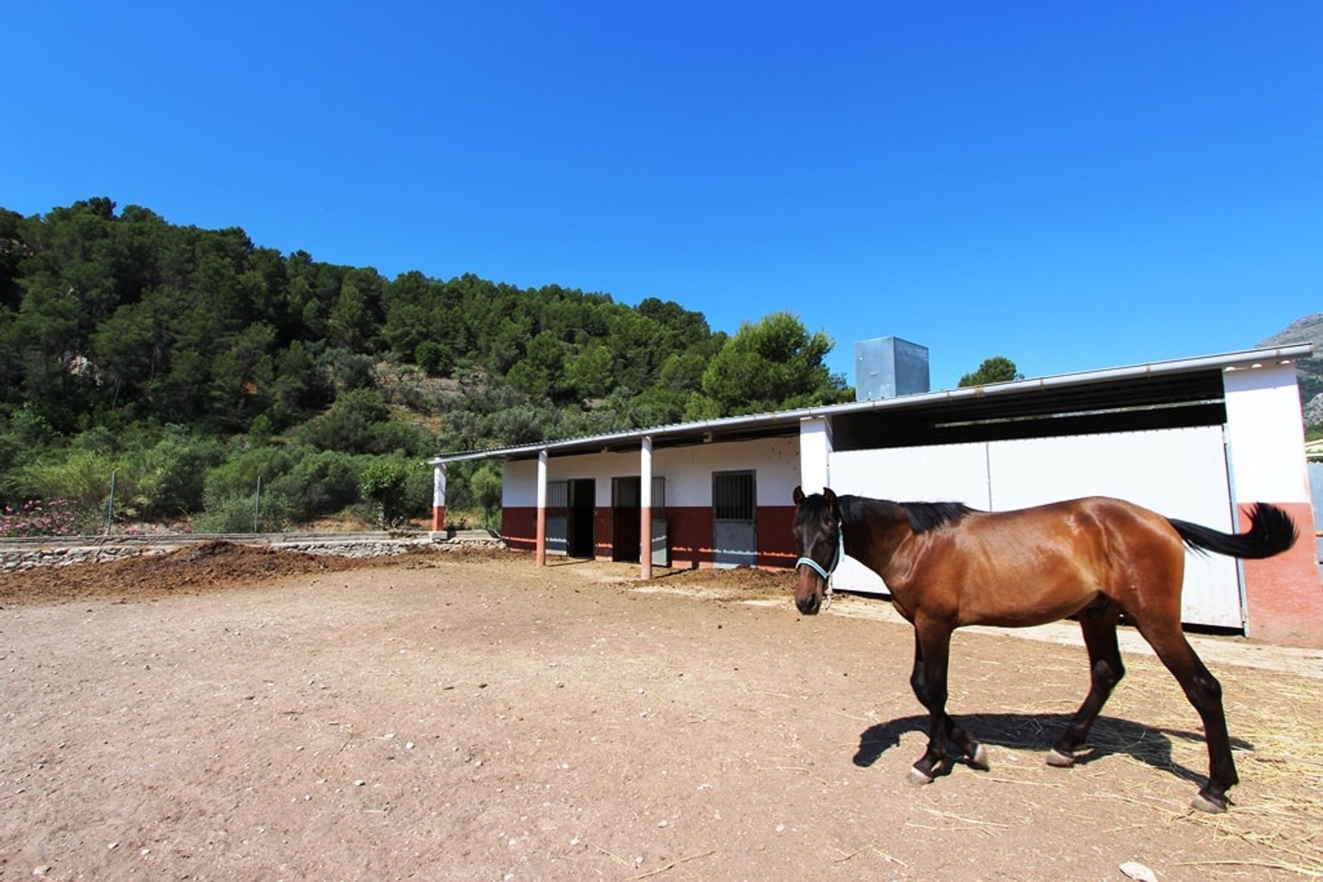 casa en , Comunidad Valenciana 11078438