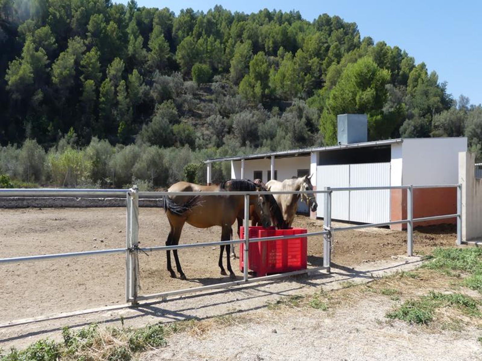 casa en , Comunidad Valenciana 11078438