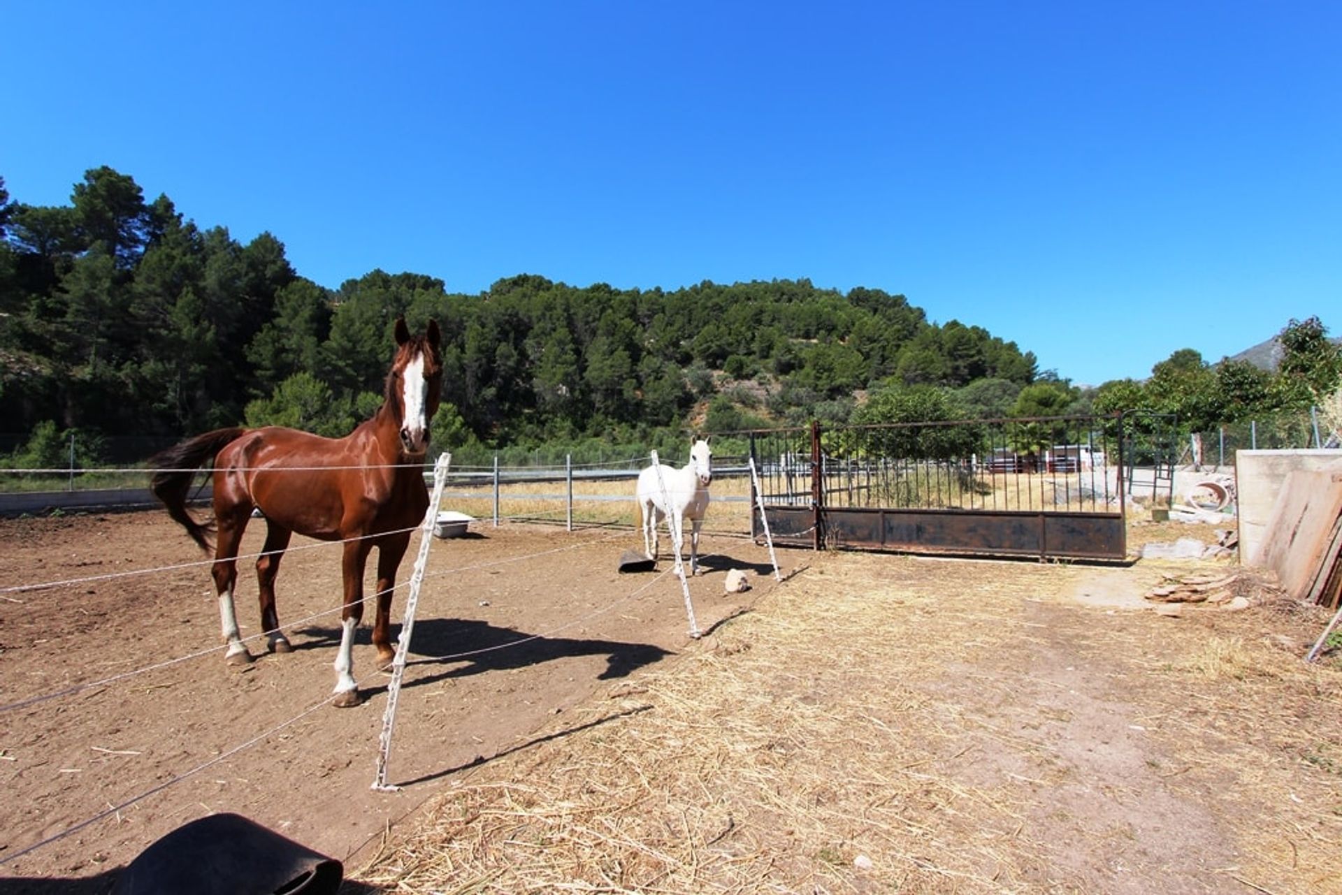 casa en , Comunidad Valenciana 11078438