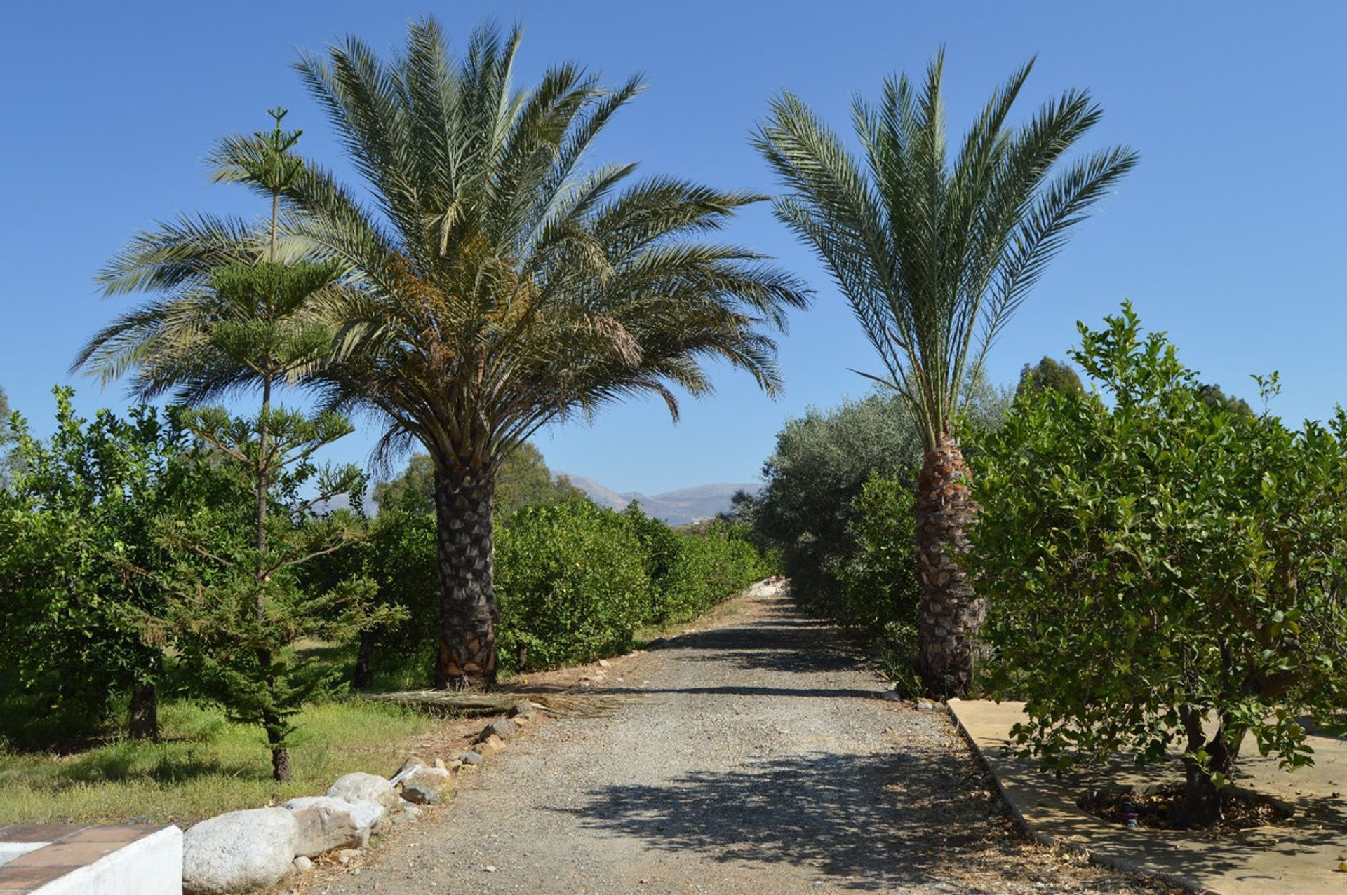 Dom w Álora, Andalucía 11078535