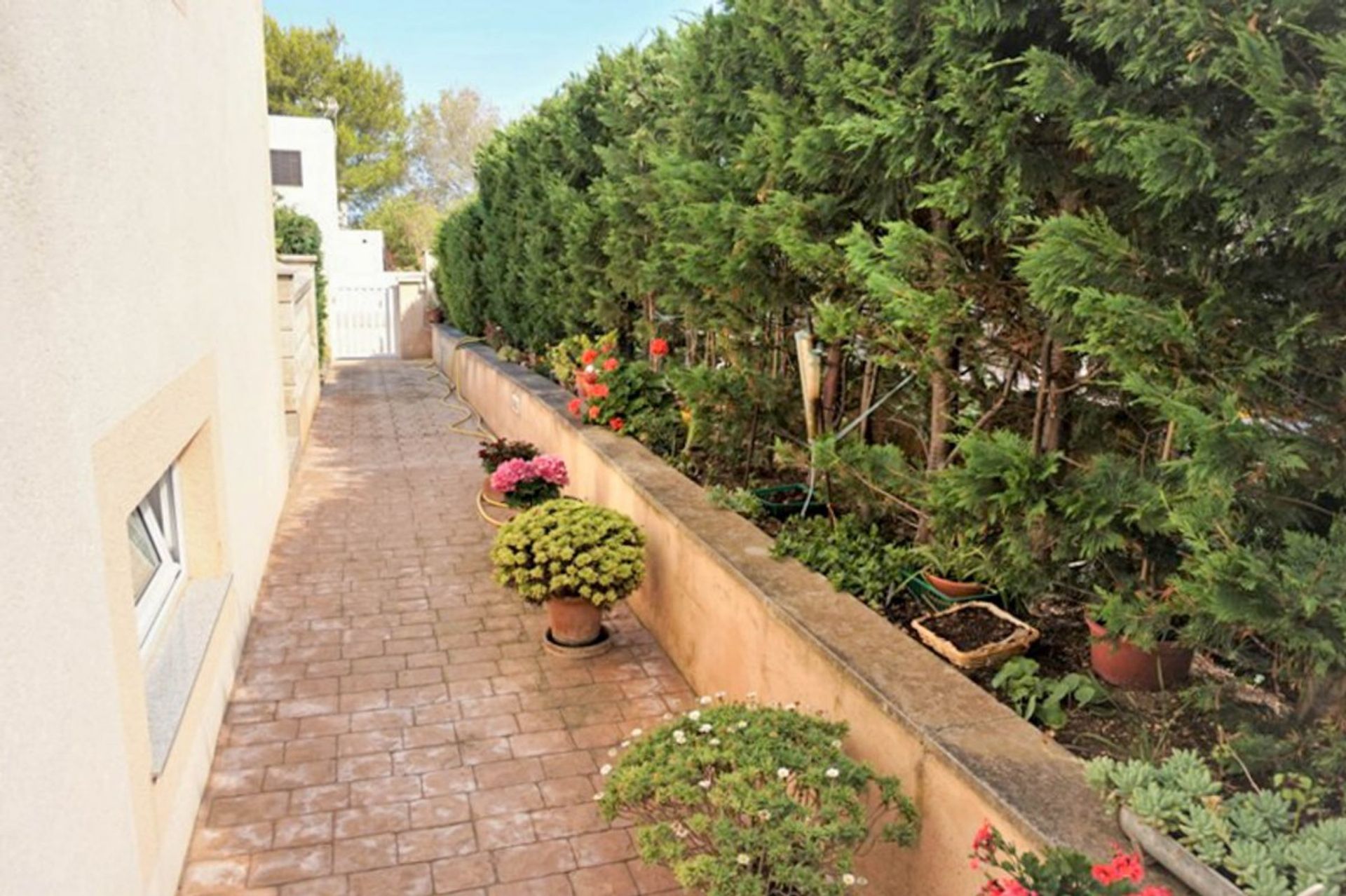 House in Artà, Illes Balears 11078644