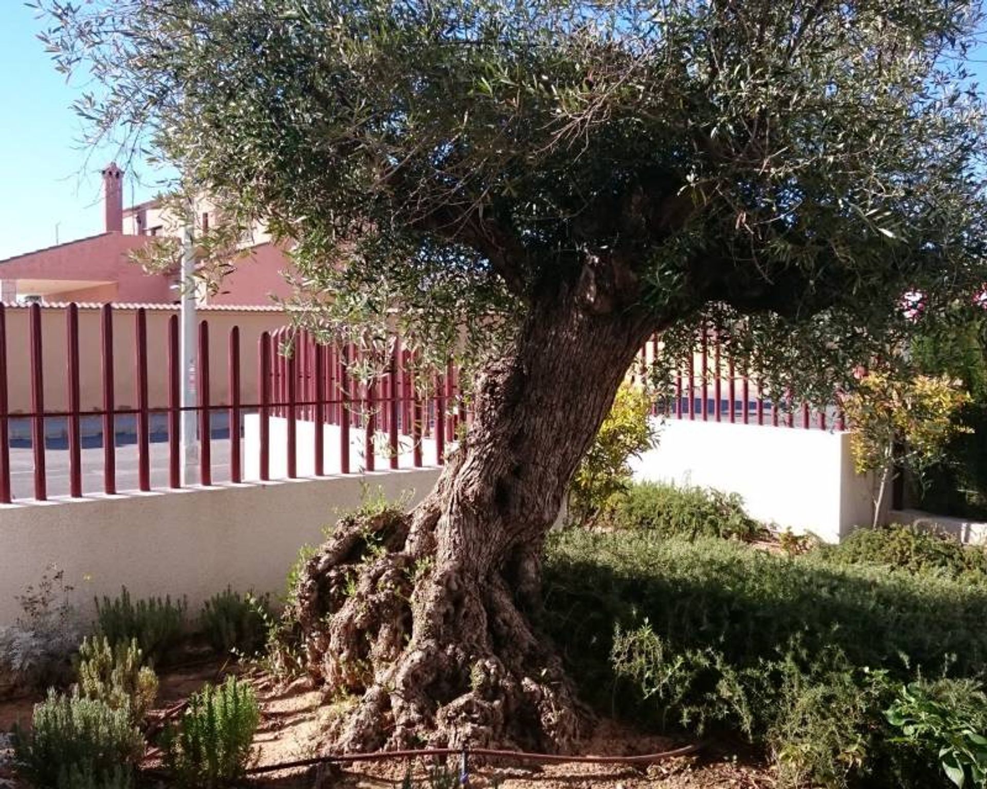 casa no Orihuela, Comunidad Valenciana 11078649