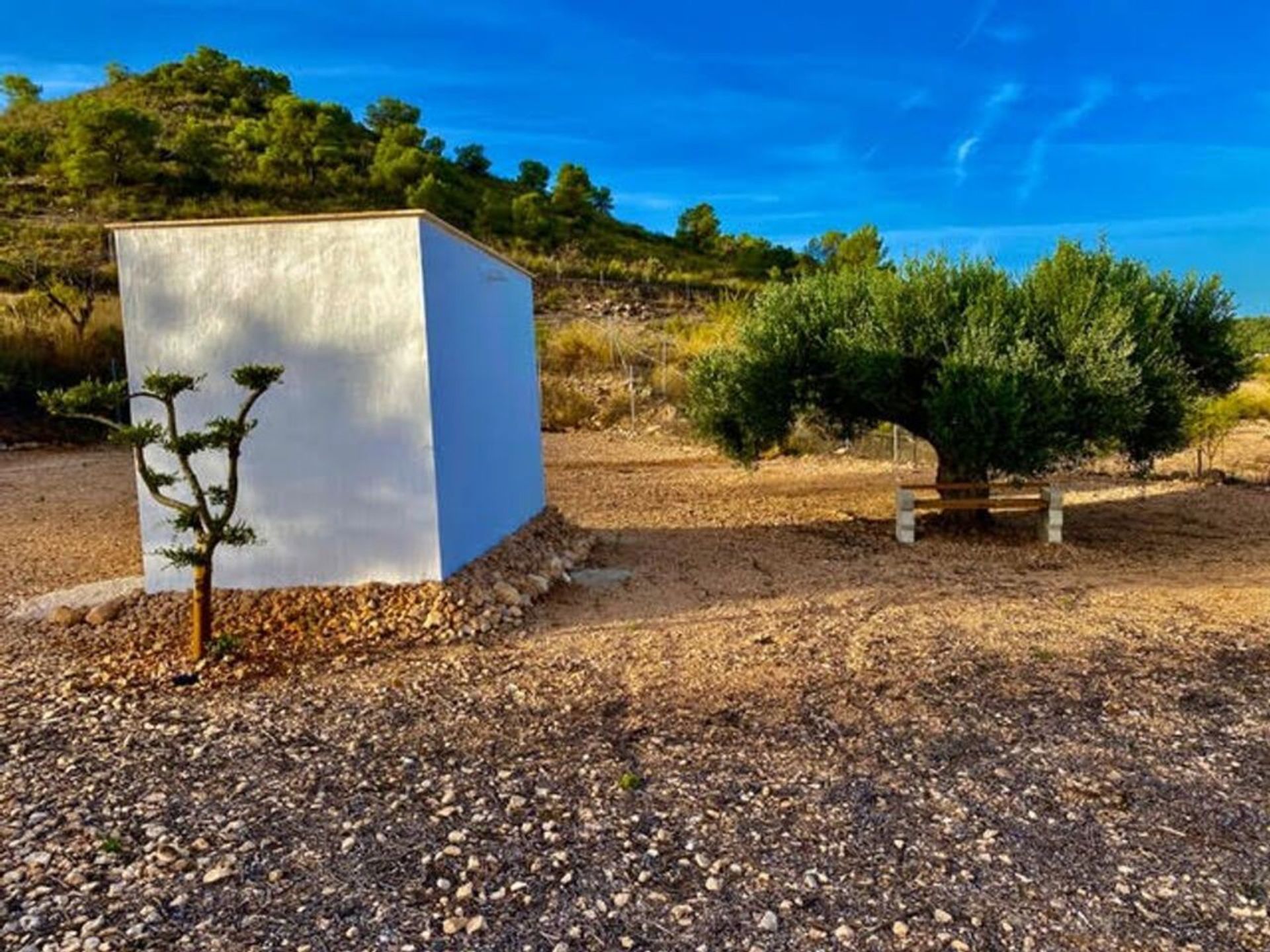 Haus im Cañada de la Leña, Región de Murcia 11078823