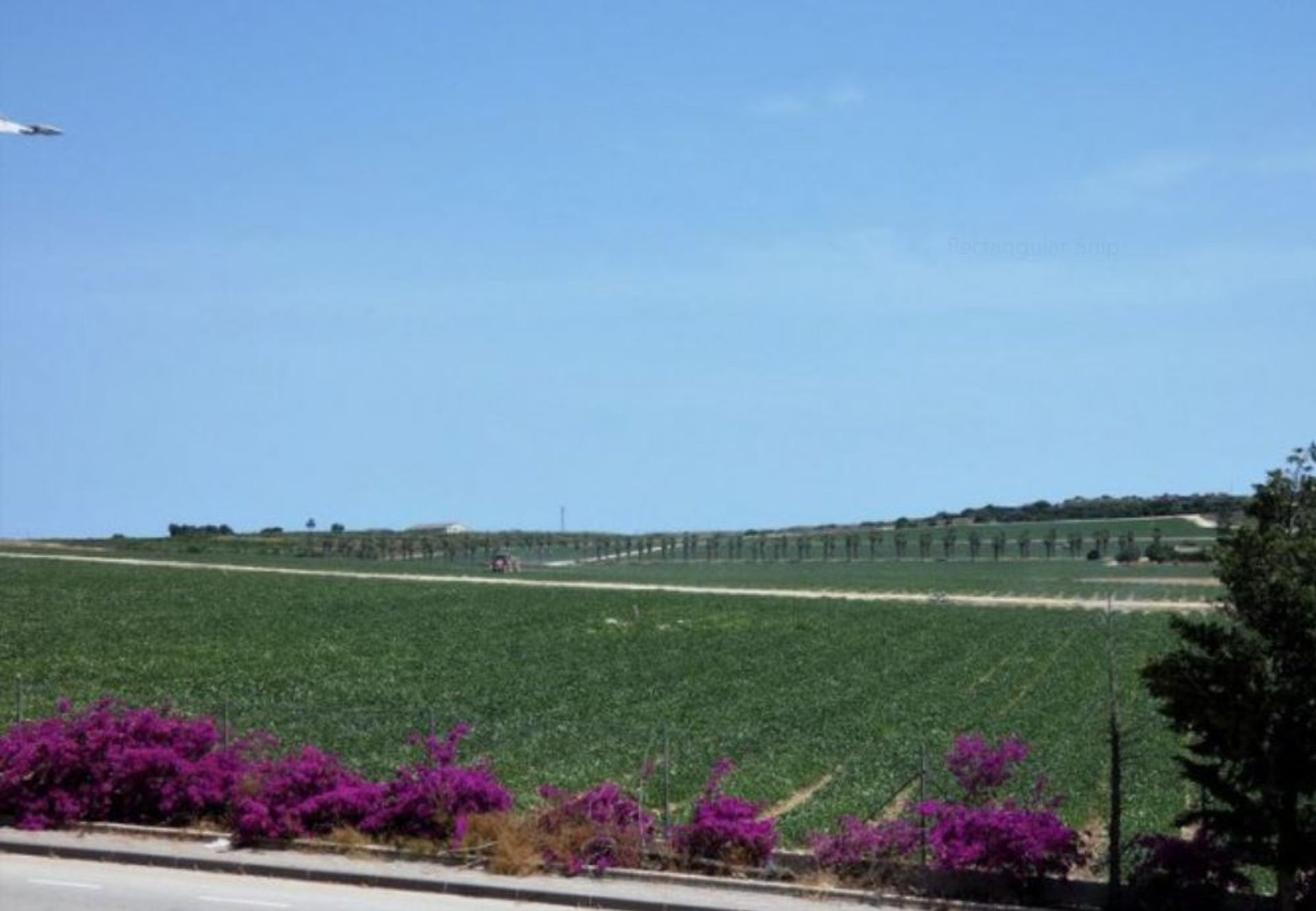 Casa nel Algorfa, Comunidad Valenciana 11079074