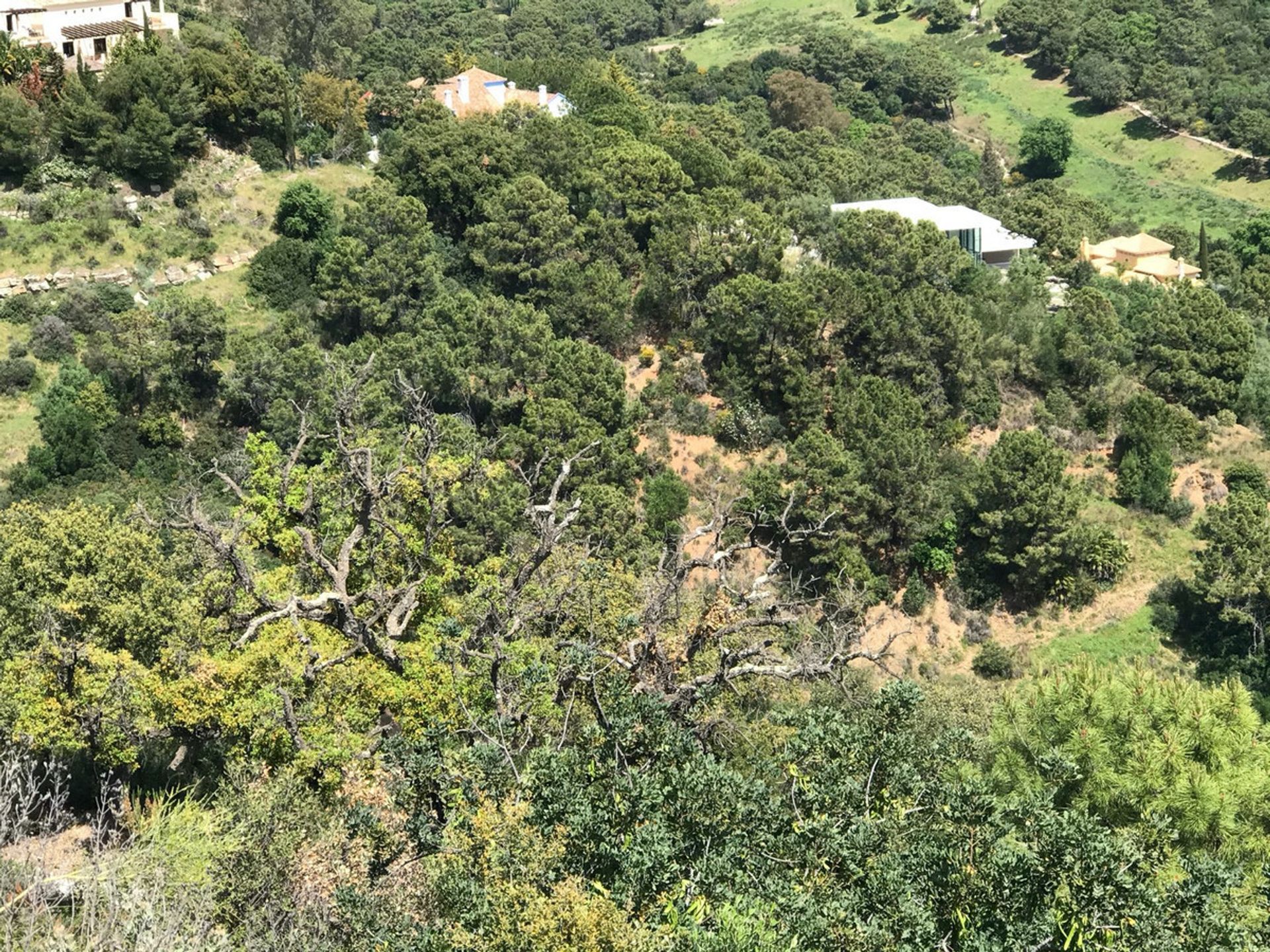 Tierra en Benahavís, Andalucía 11079208