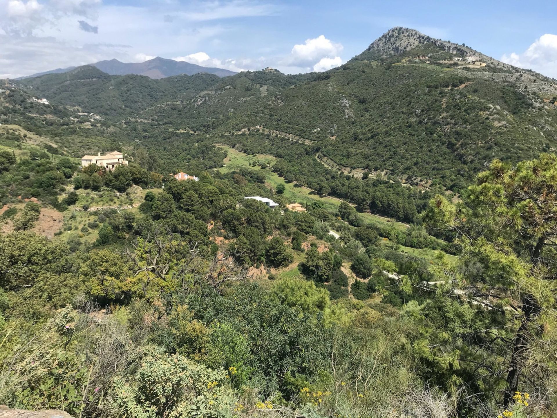 Land in Benahavís, Andalucía 11079208