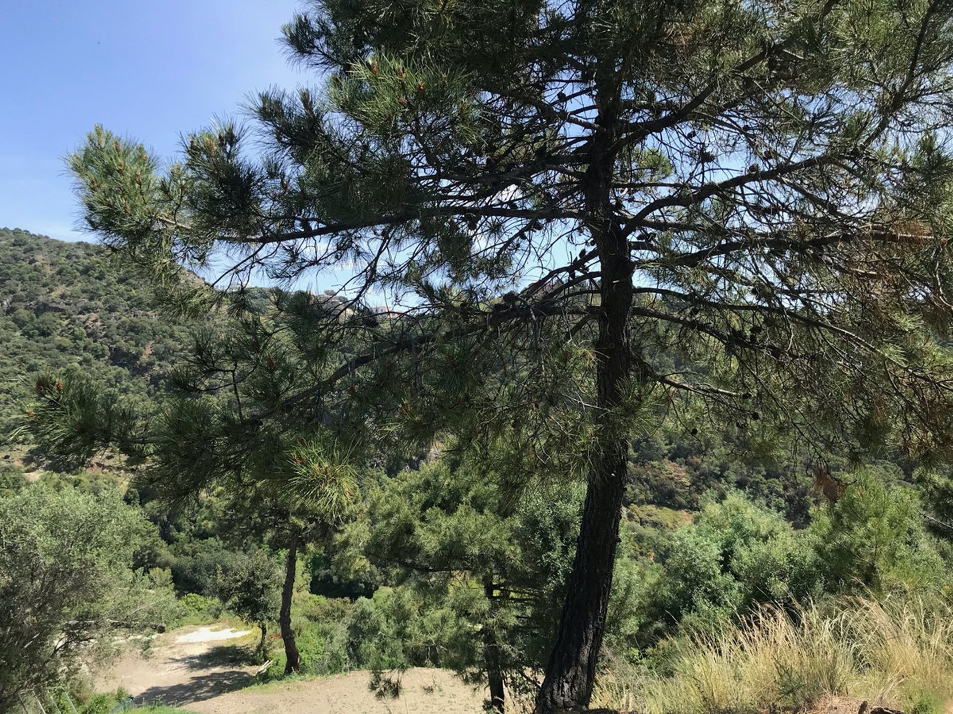 Tierra en Benahavís, Andalucía 11079208