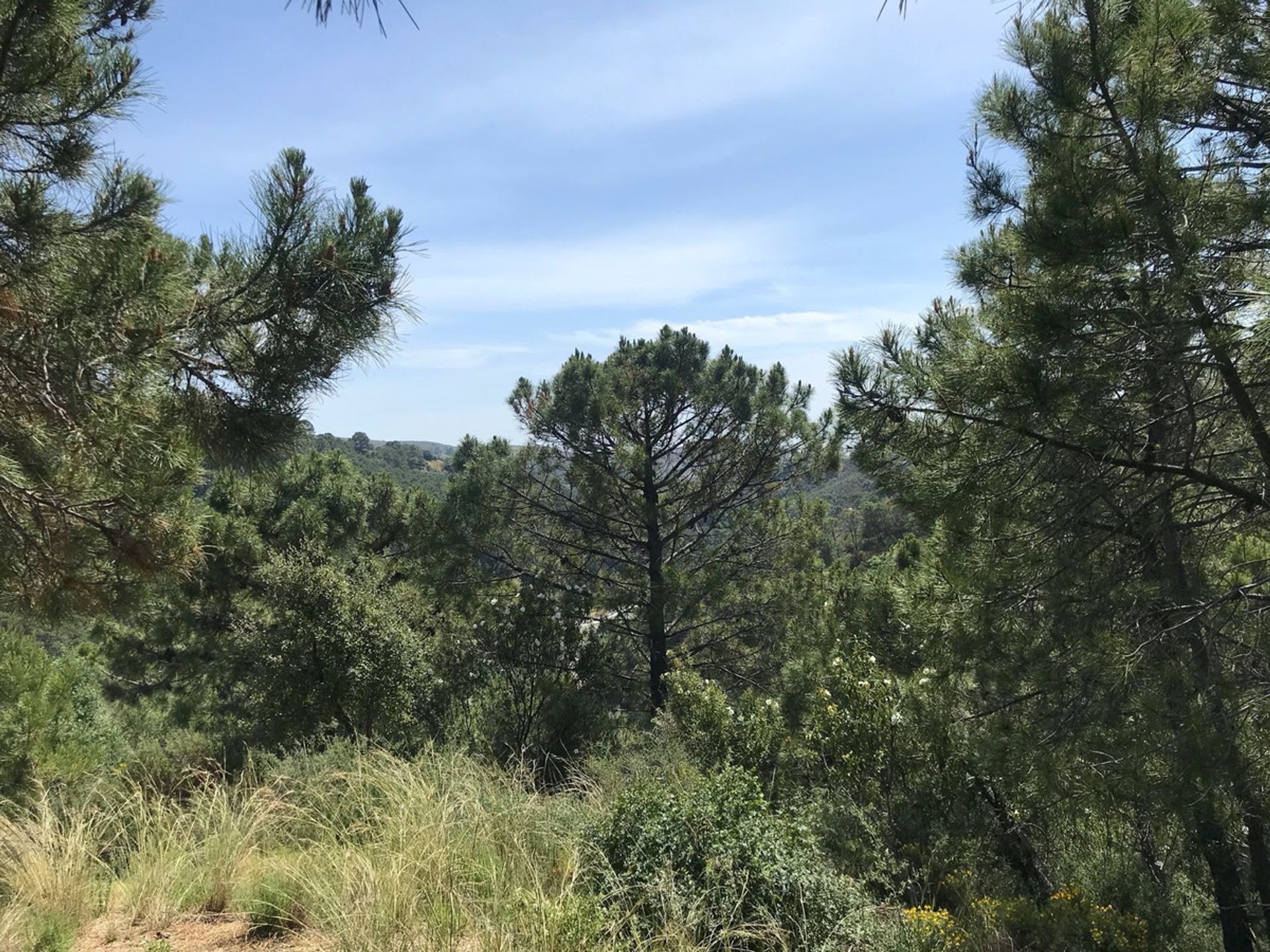 Tierra en Benahavís, Andalucía 11079208