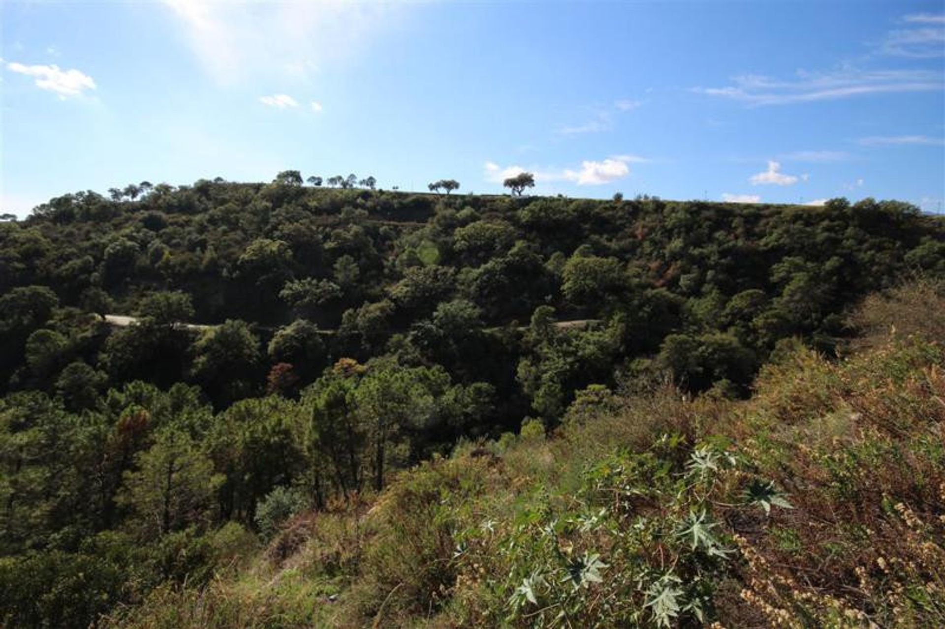 Land in Benahavís, Andalucía 11079208