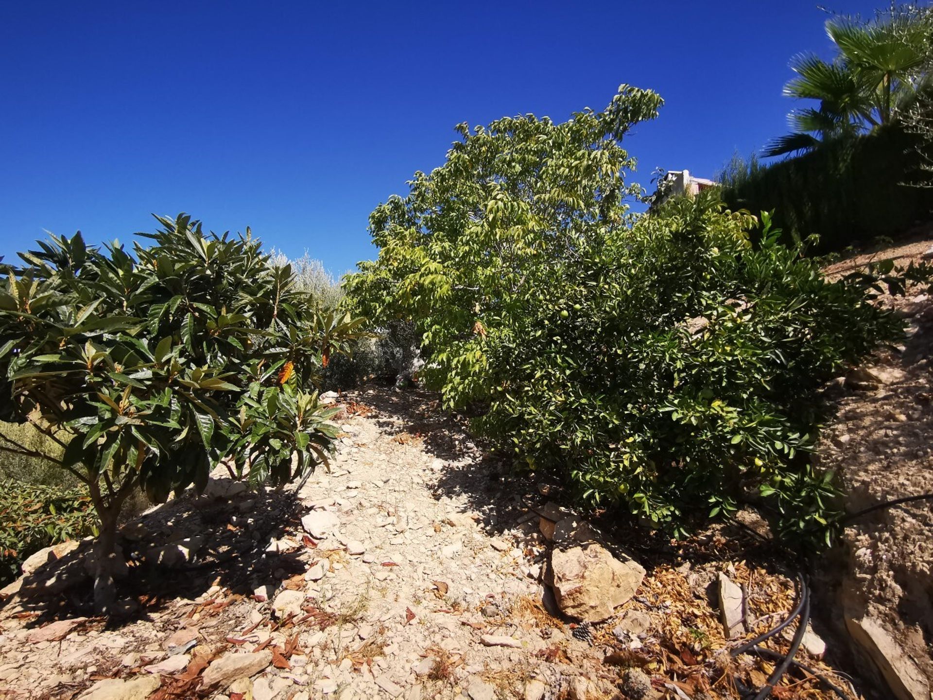 Talo sisään Viñuela, Andalucía 11079334