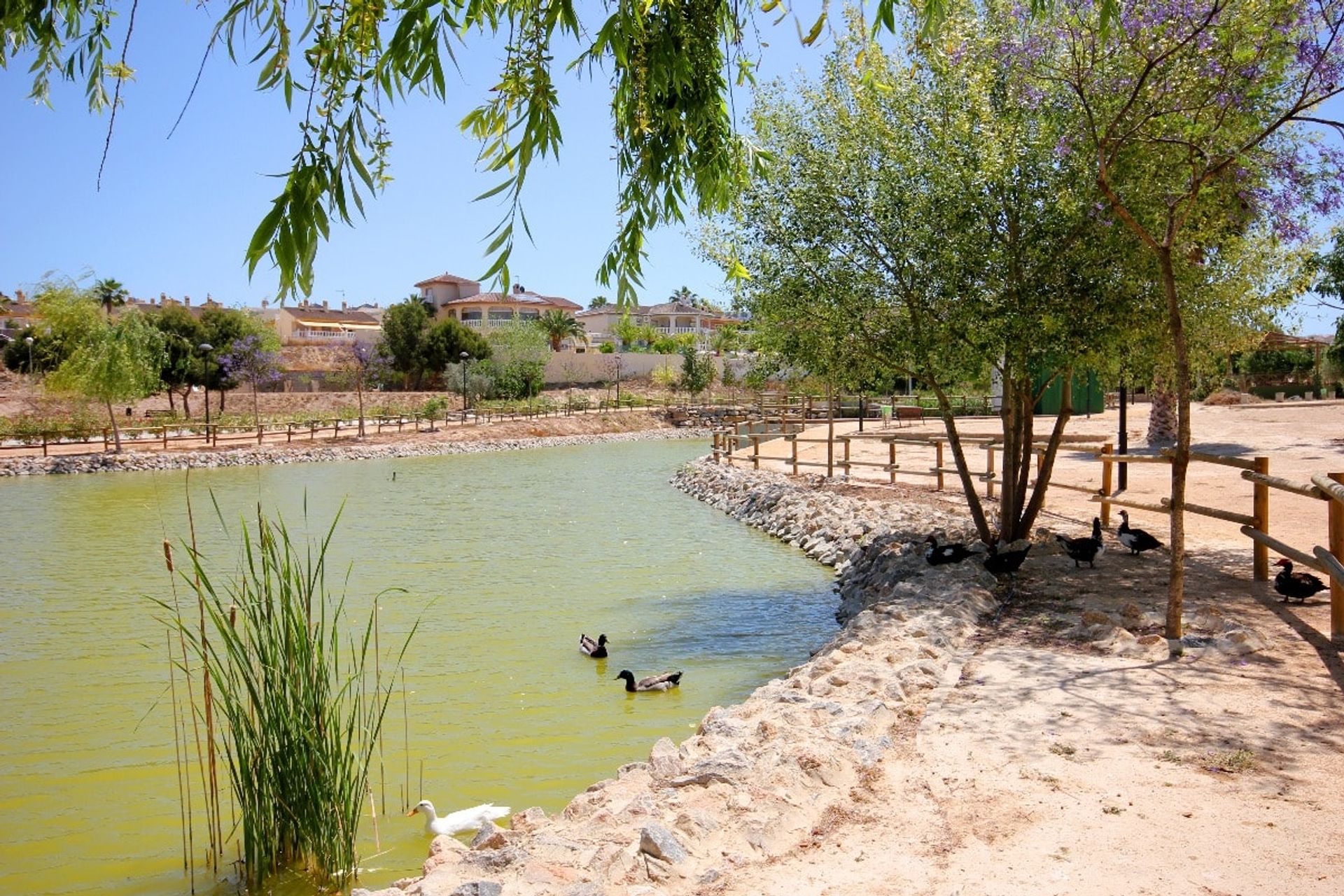 Huis in Benijófar, Comunidad Valenciana 11079417