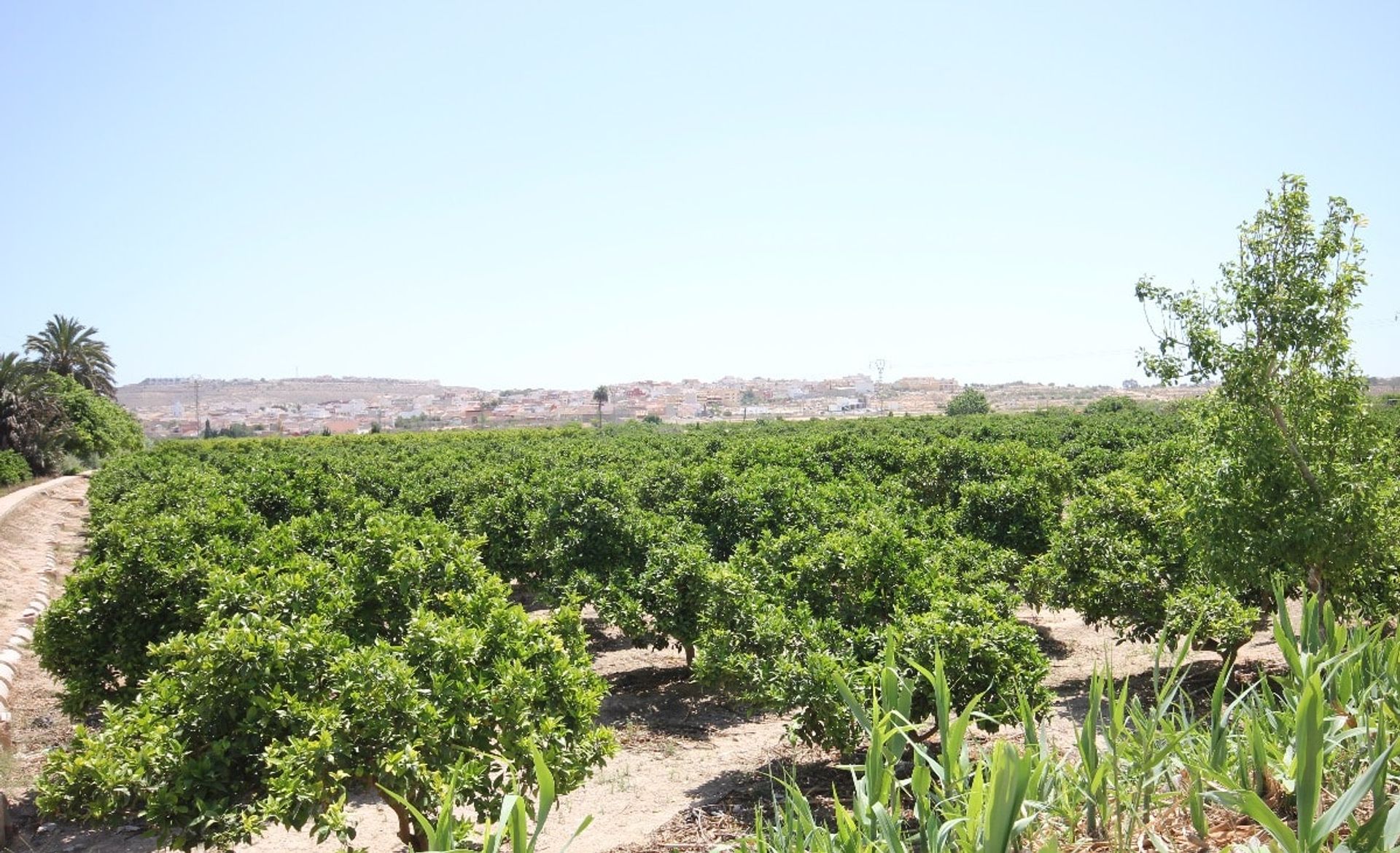 بيت في Benijófar, Comunidad Valenciana 11079417