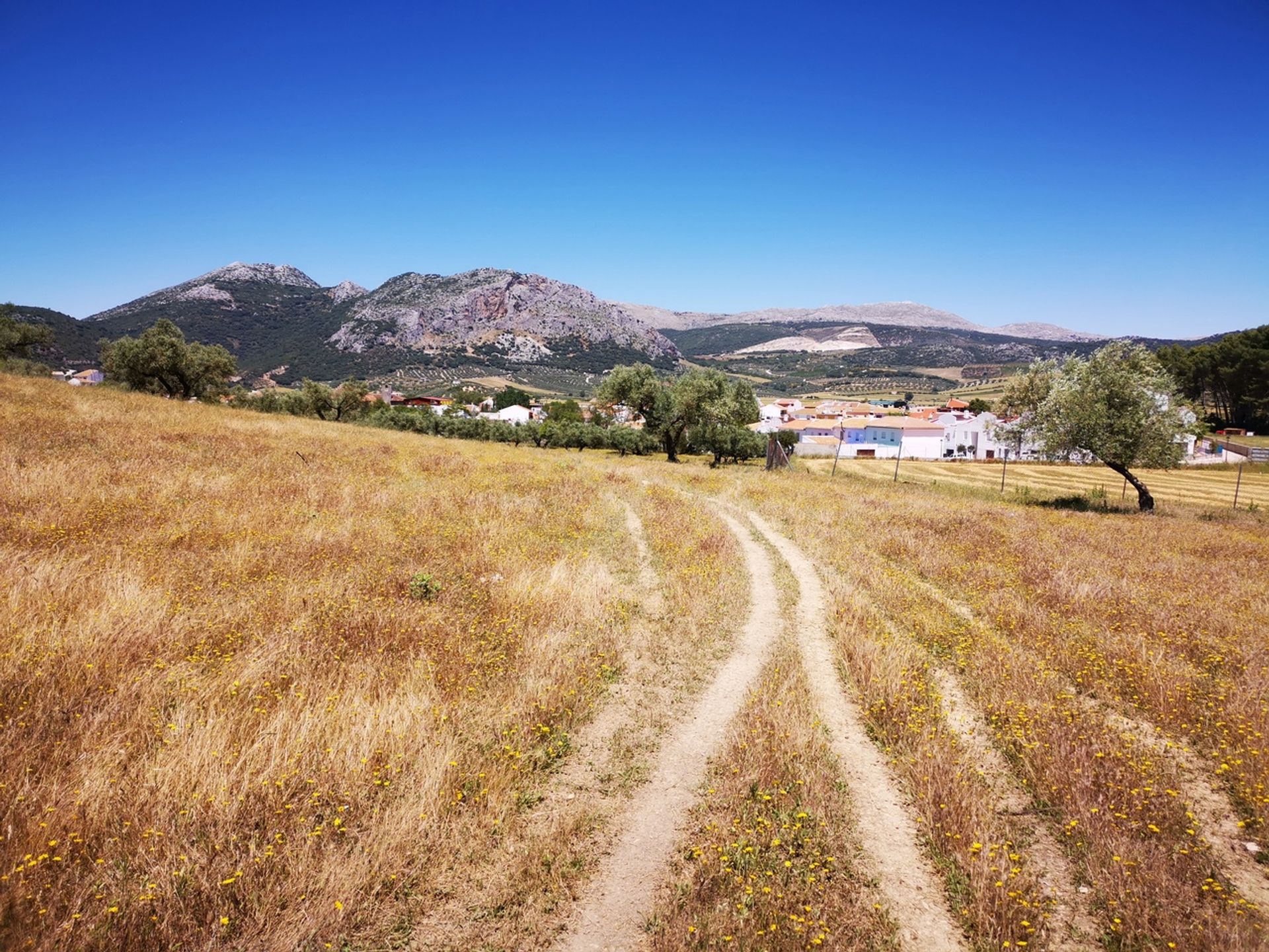 Γη σε Periana, Andalucía 11079675