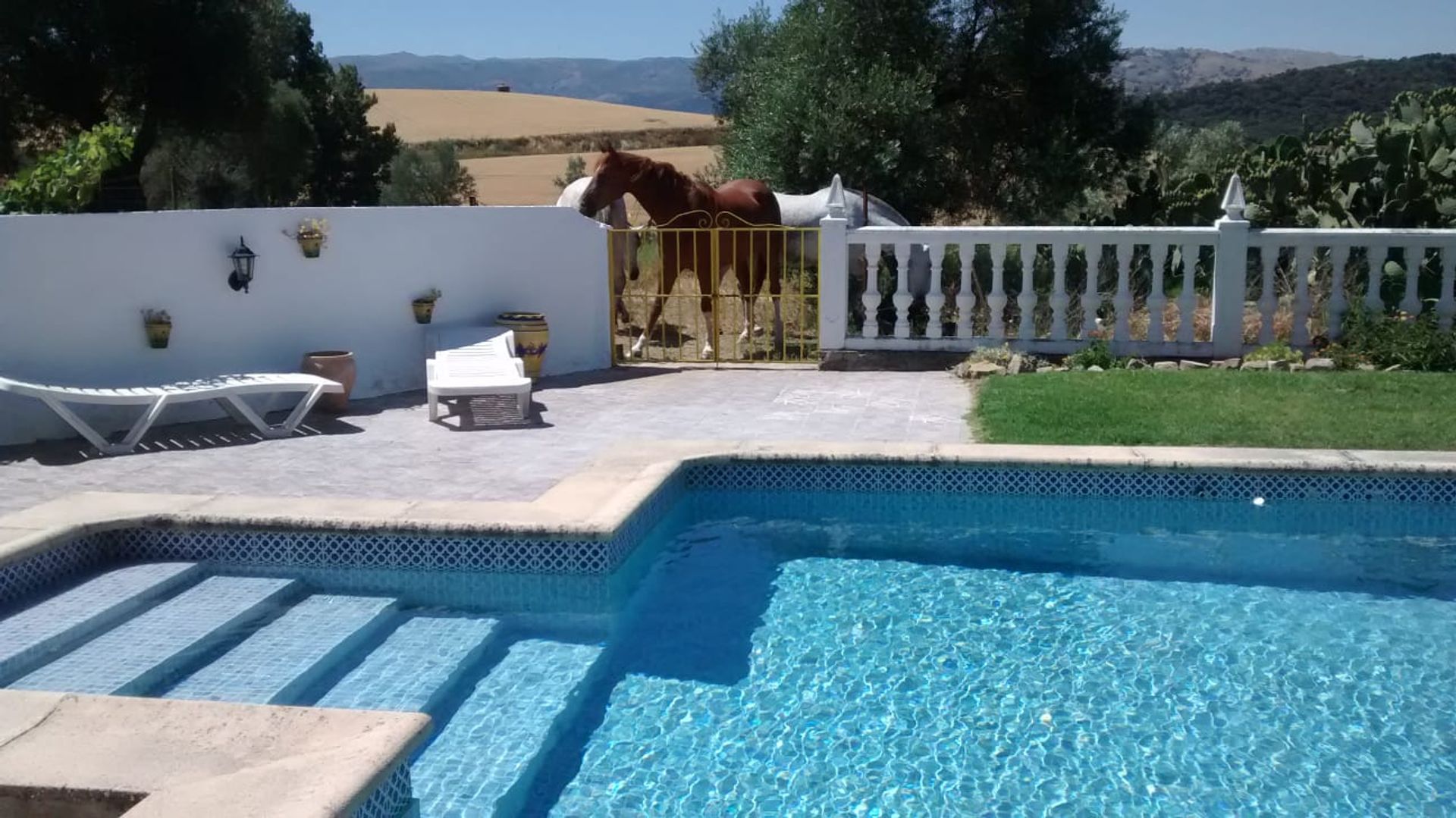 Huis in Ronda, Andalucía 11079843