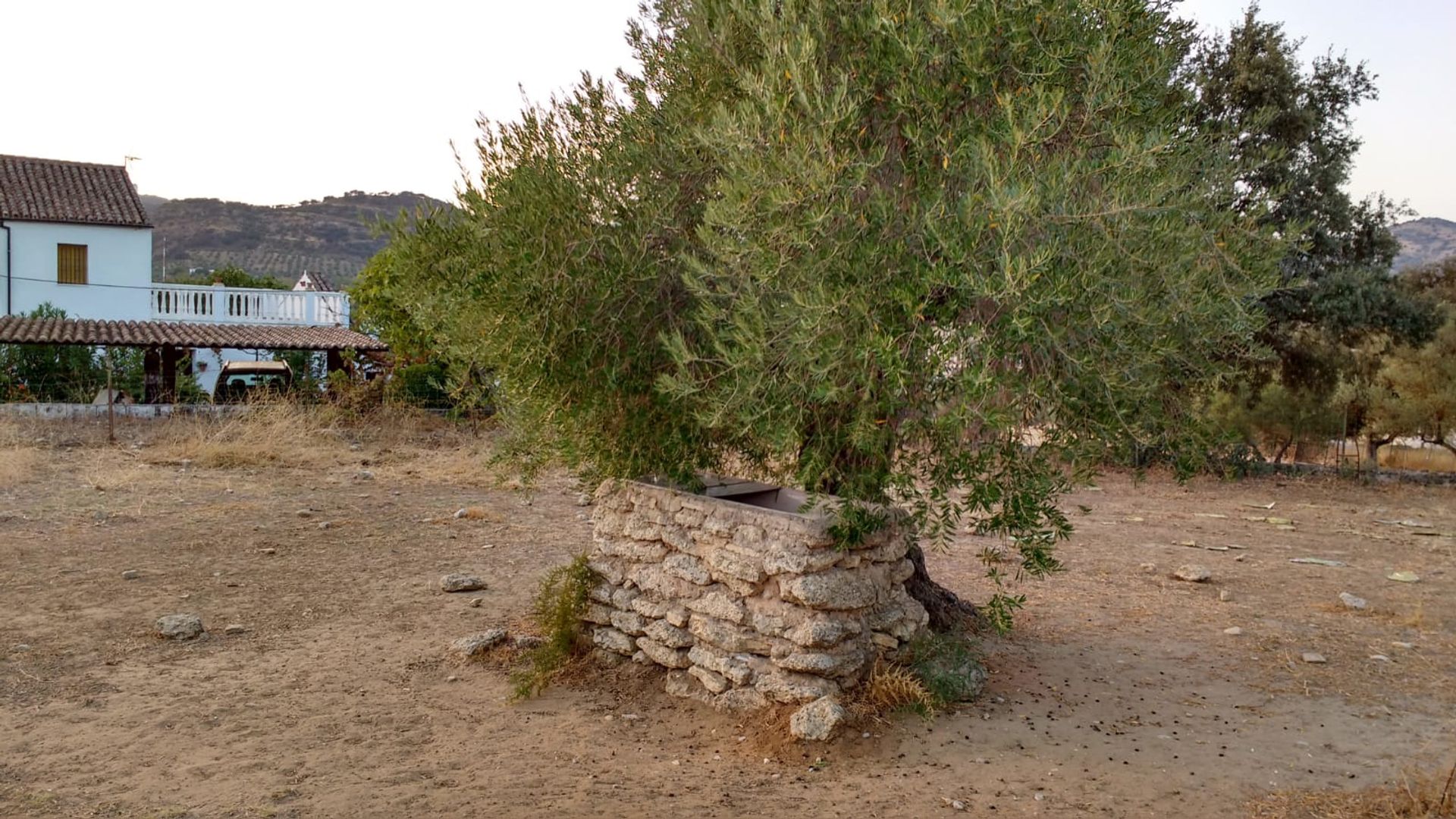 House in Ronda, Andalucía 11079843