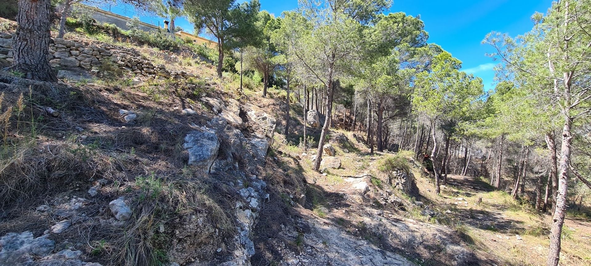 Terra no Calpe, Valência 11079898