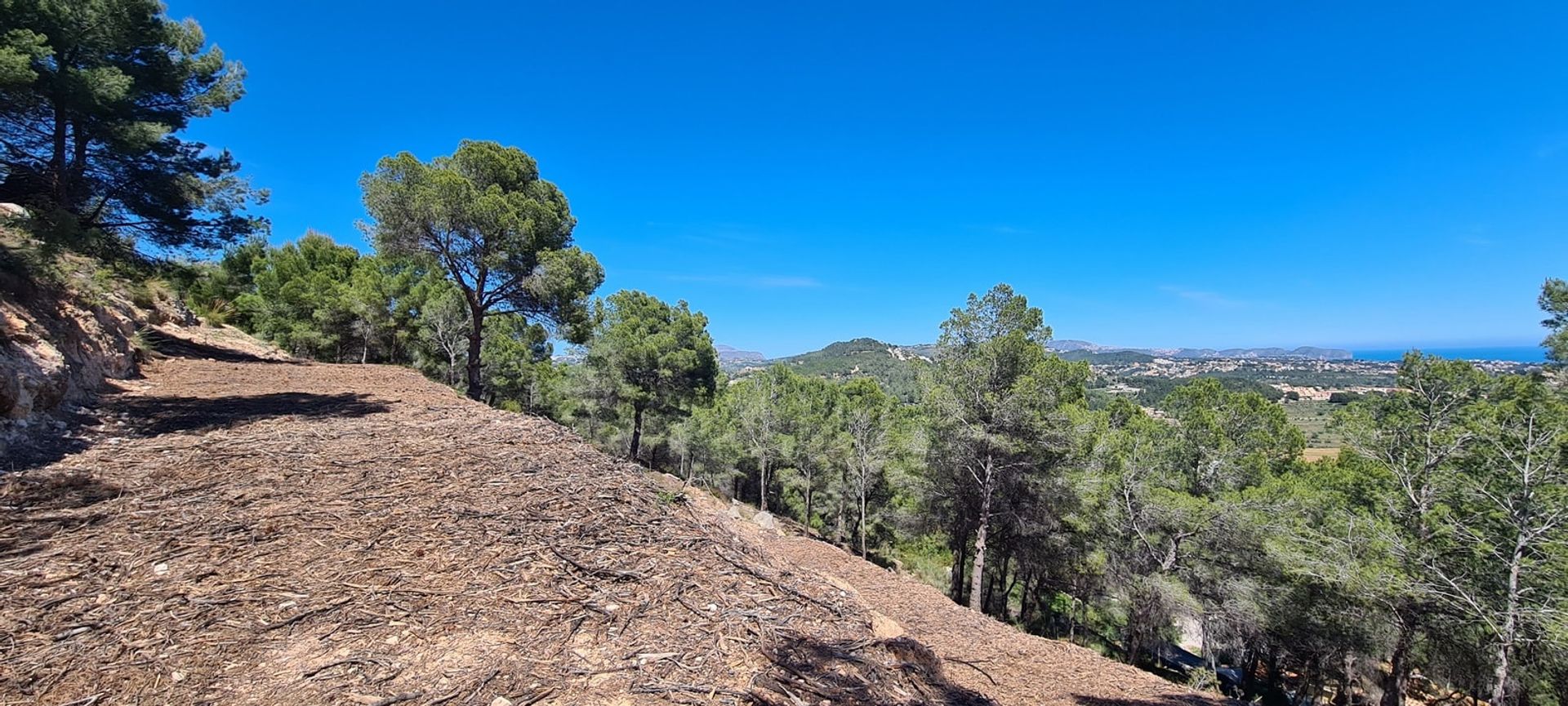 Terra no Calpe, Valência 11079898