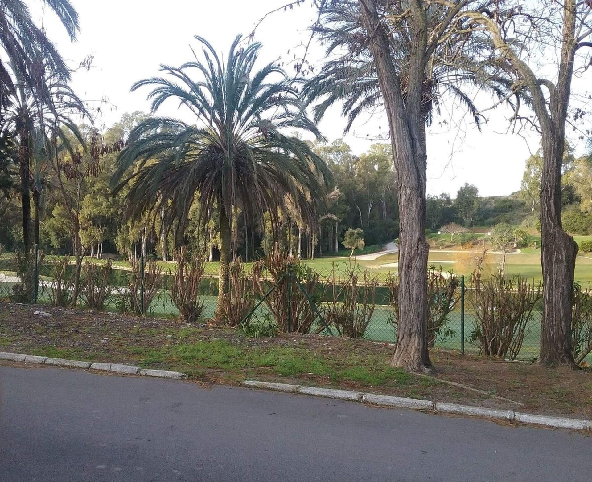 Land in Estepona, Andalucía 11079915