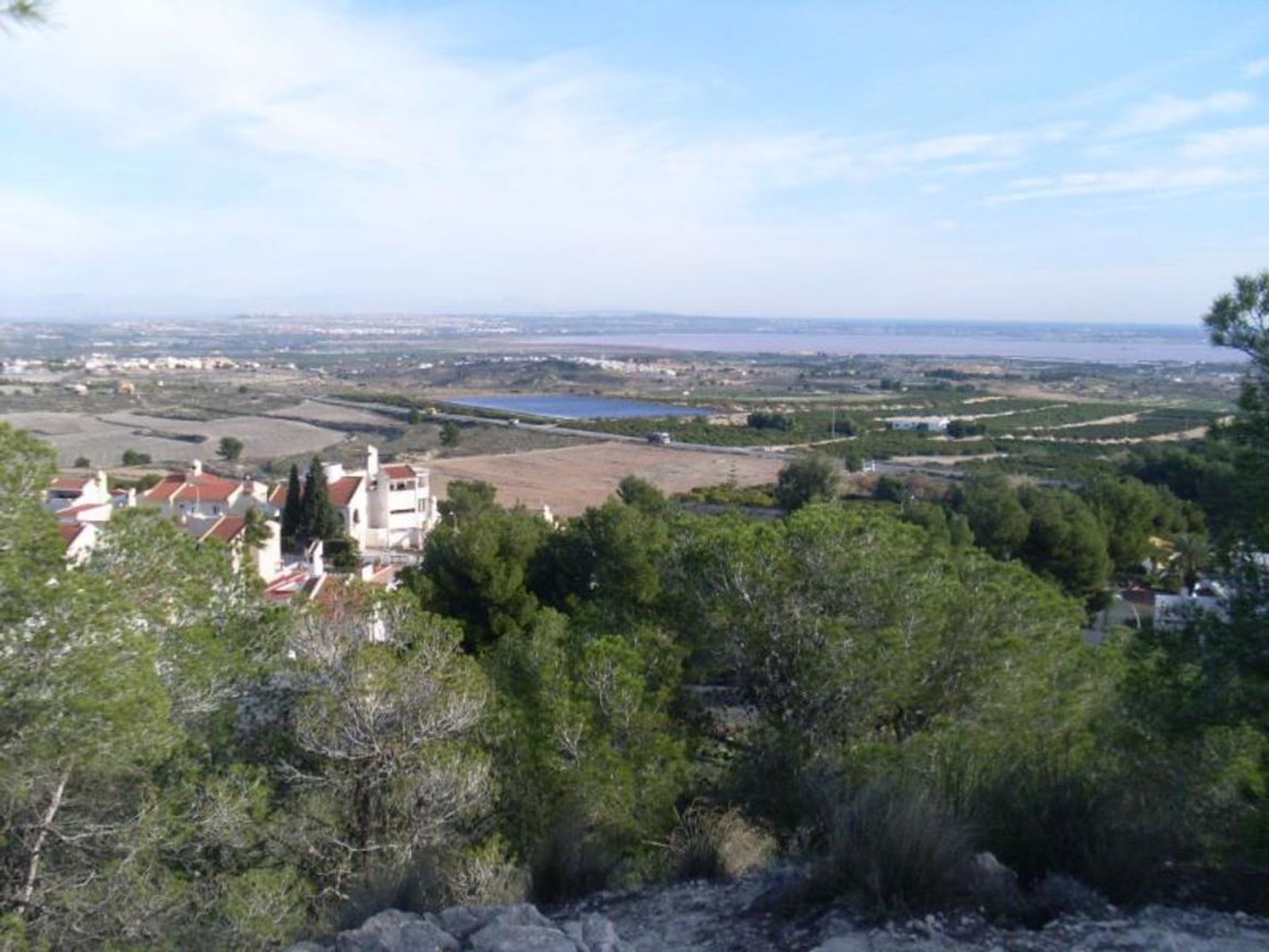 Terre dans San Miguel de Salinas, Comunidad Valenciana 11081160