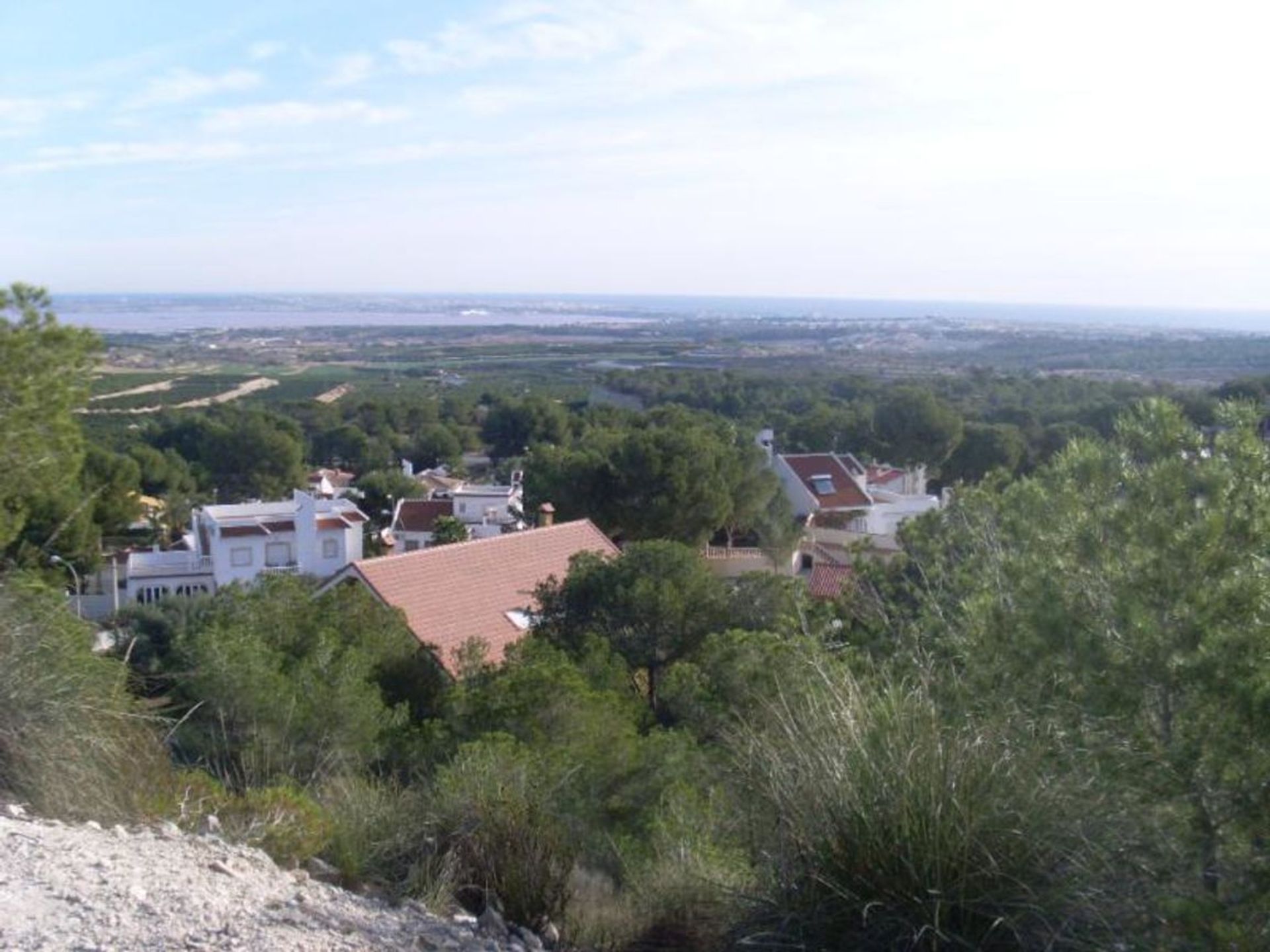 土地 在 San Miguel de Salinas, 巴倫西亞 11081160