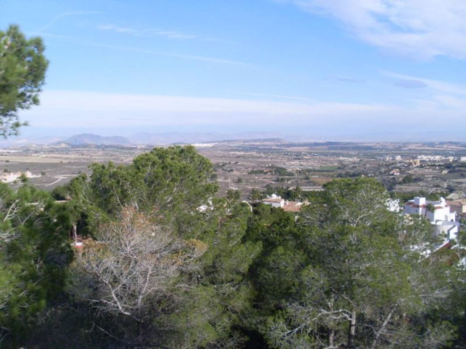 Terre dans San Miguel de Salinas, Comunidad Valenciana 11081160